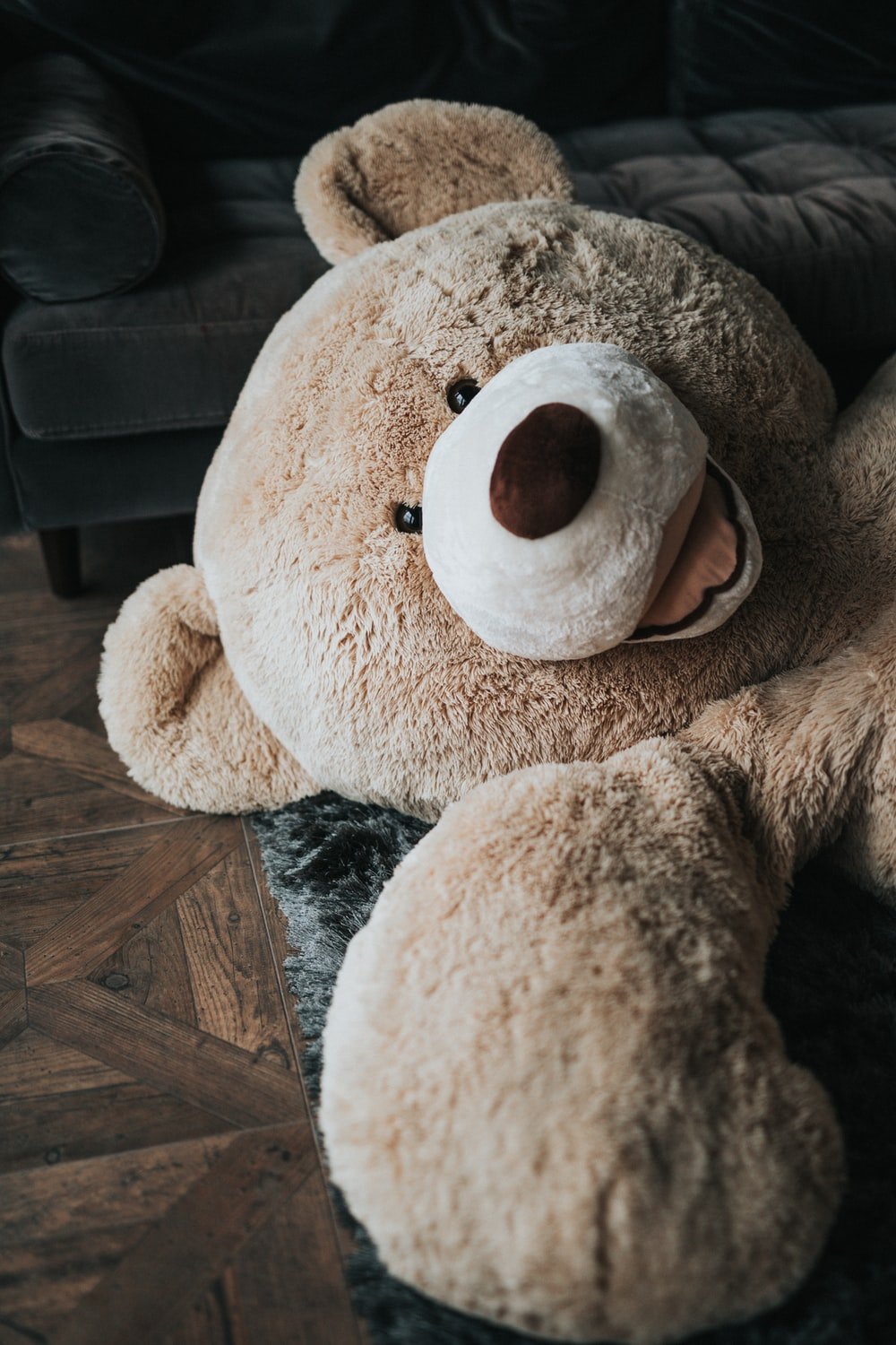 Best Teddy Bears Picture [HD]. Download Free Image