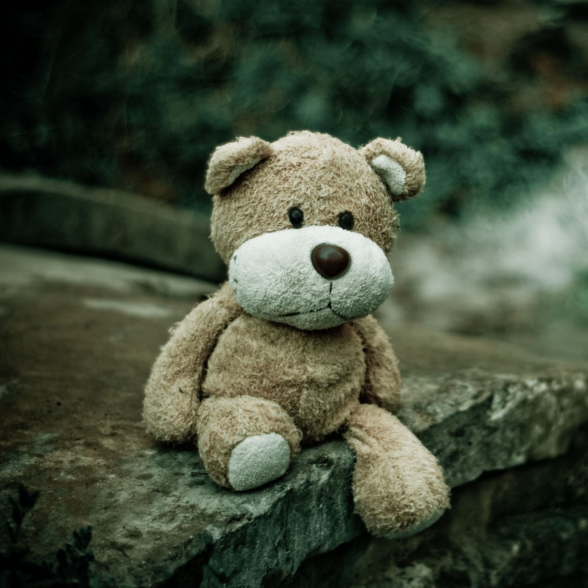 Teddy Bear Aesthetic Wallpapers - Wallpaper Cave