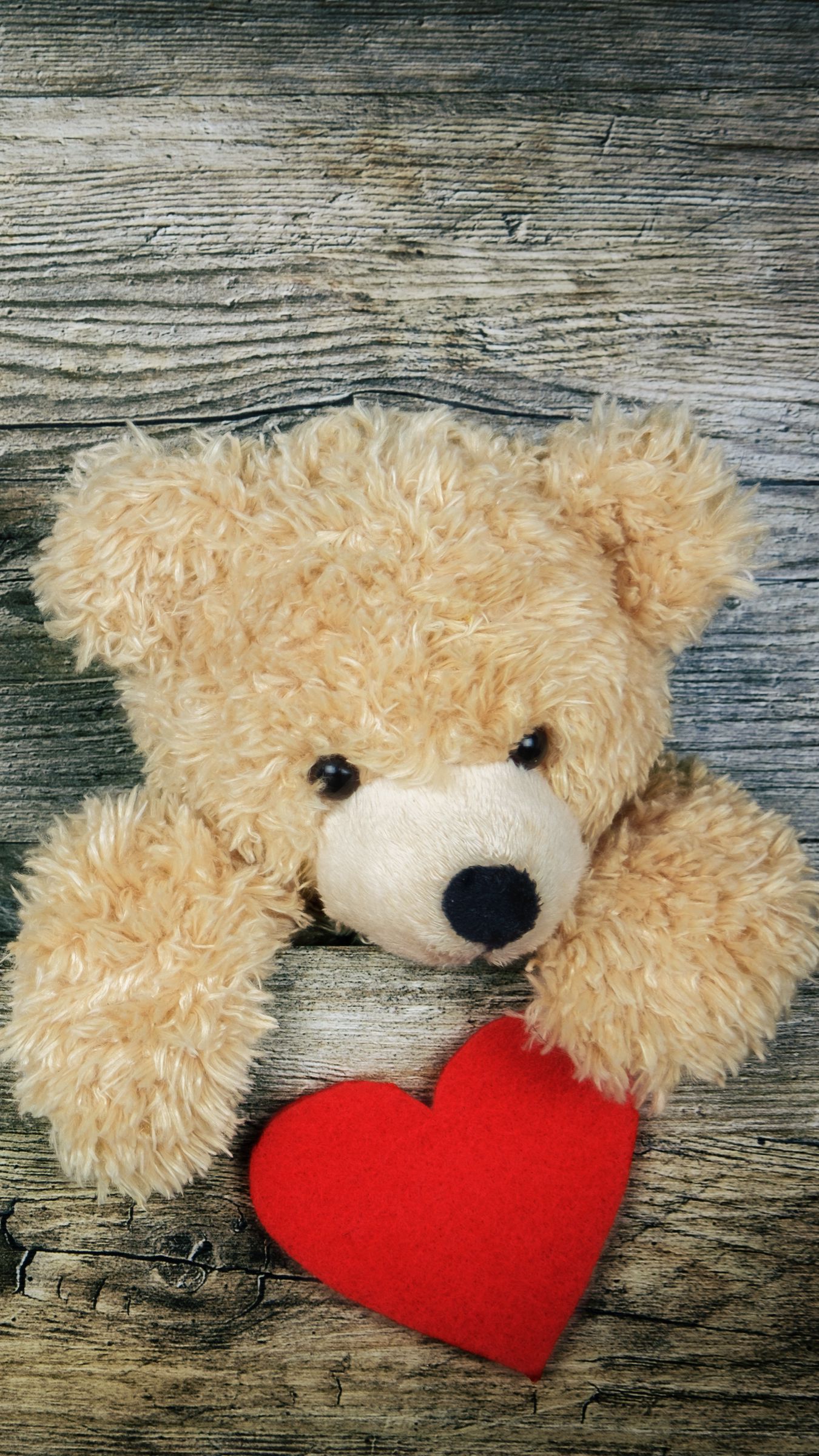 Teddy Bear, Heart, Valentines Day, Love Wallpaper