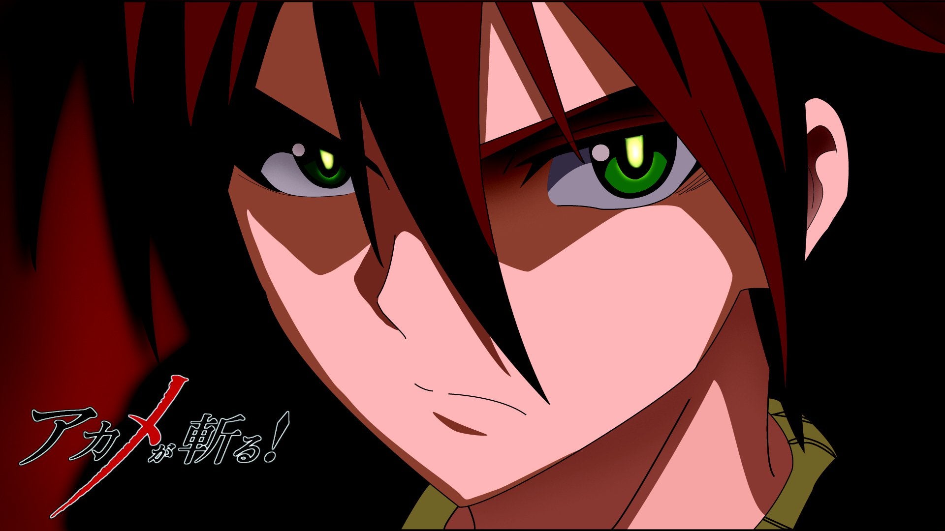 Tatsumi: Akame Ga Kill Wallpaper