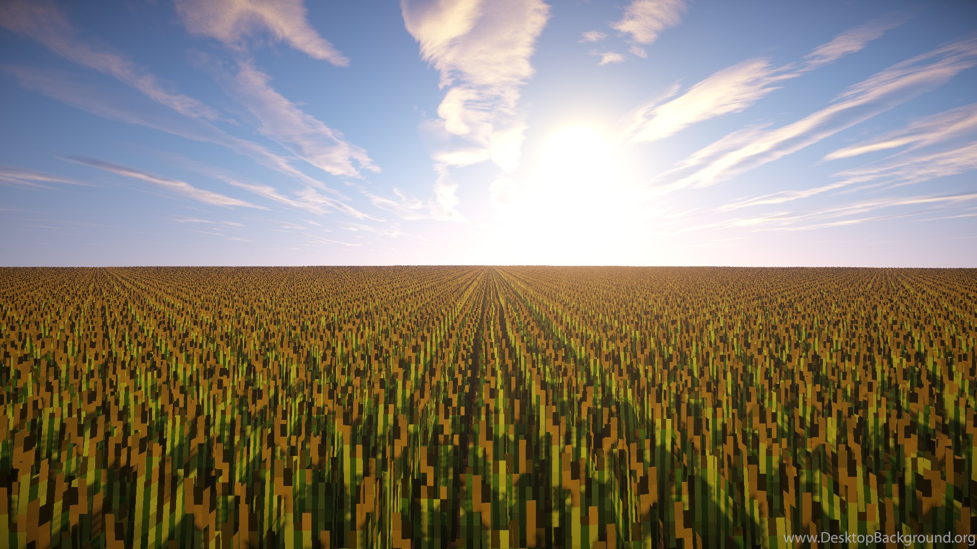 Wheat Wallpaper (1920x1080), Minecraft Desktop Background