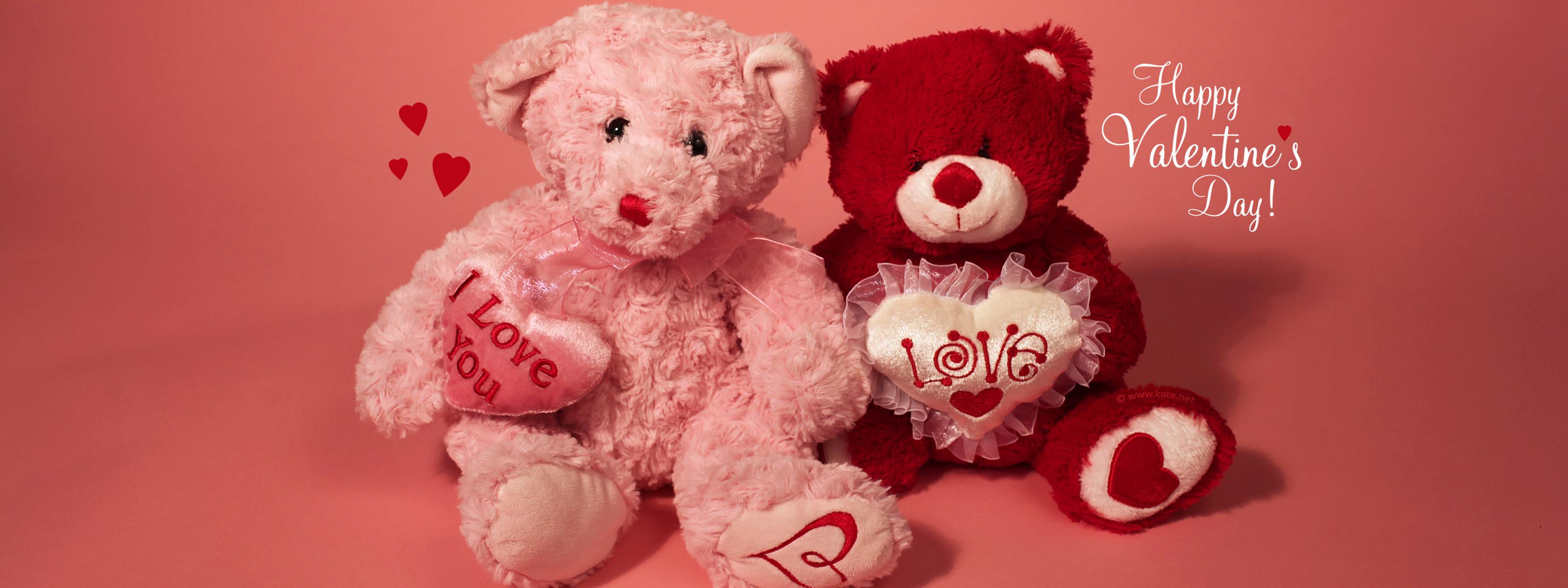 I love you my teddy bear Valentine's Day