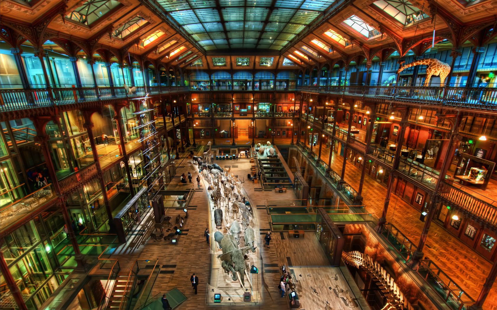 Jules Verne Wallpaper