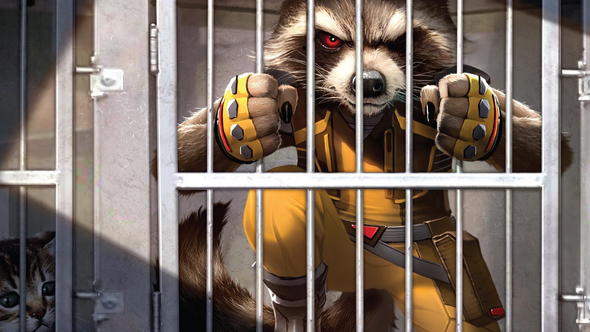 Rocket Raccoon HD Wallpaper