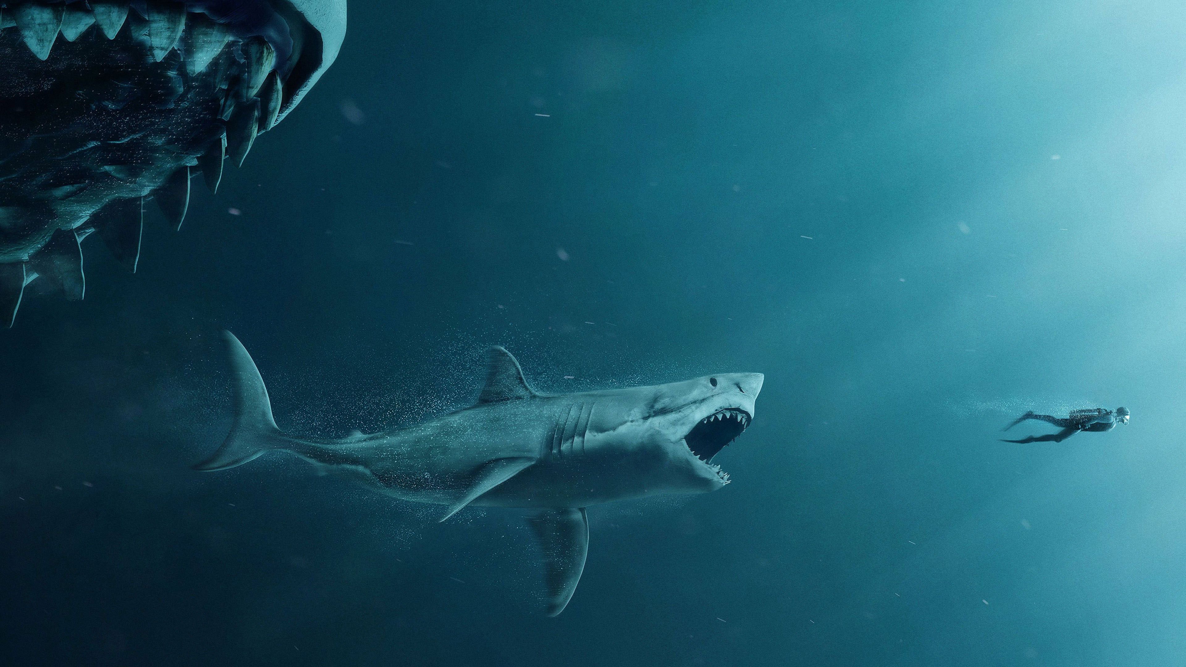 The Meg Wallpaper