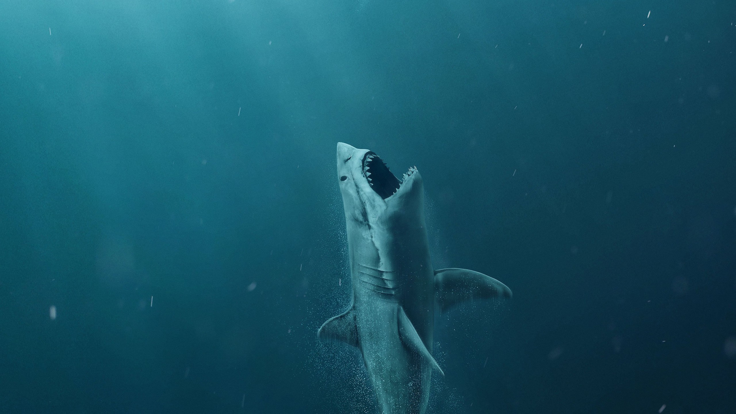 Wallpaper The Meg, shark, 4k, Movies