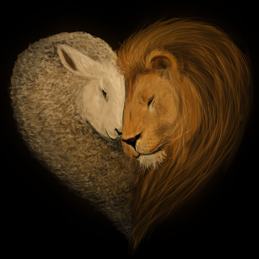 Free download Lion and Lamb by raro [900x900] for your Desktop, Mobile & Tablet. Explore Lion and Lamb Wallpaper. Lion and Lamb Wallpaper, Lamb Wallpaper, Lion Wallpaper