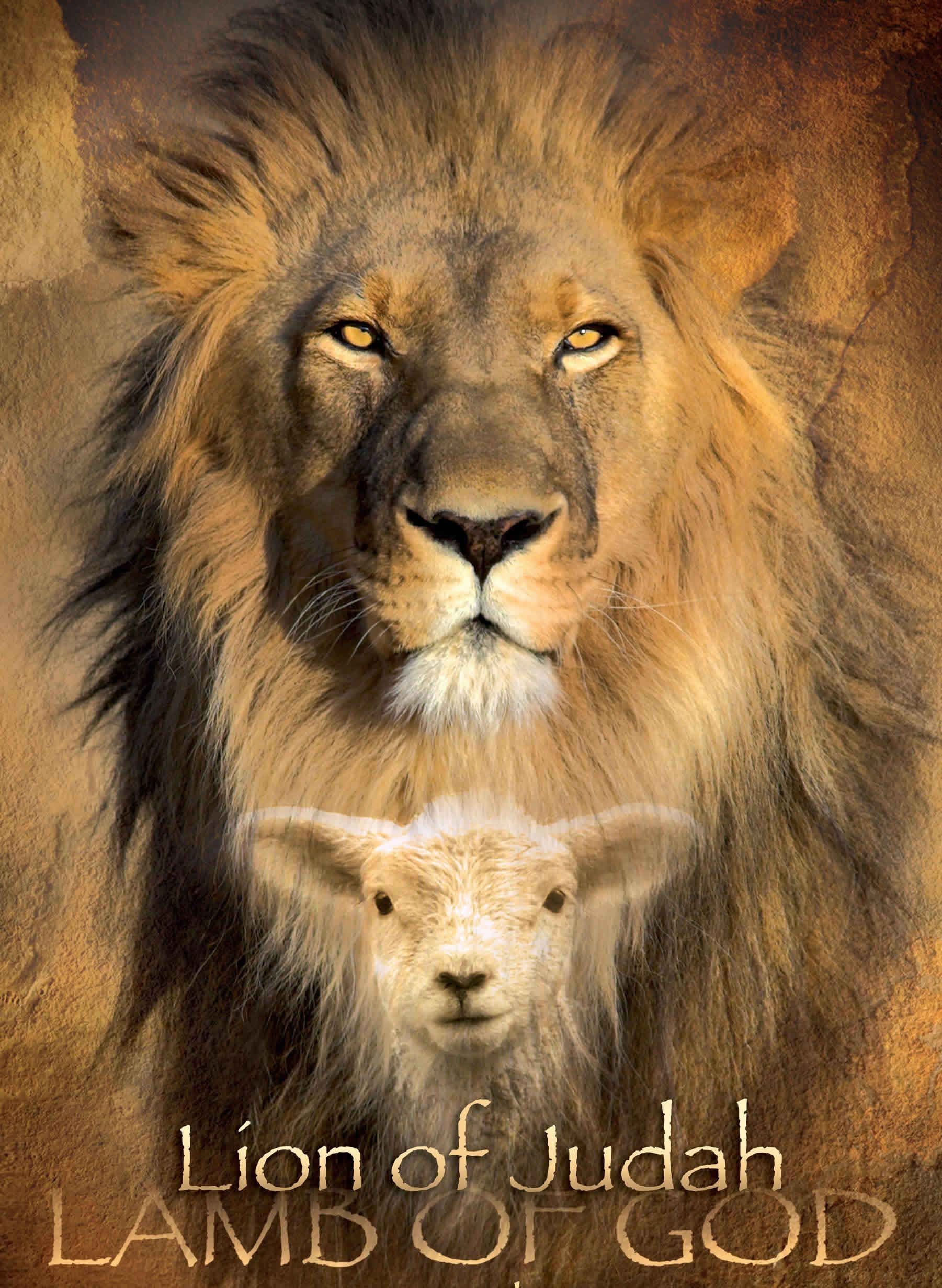 The LION and the LAMB