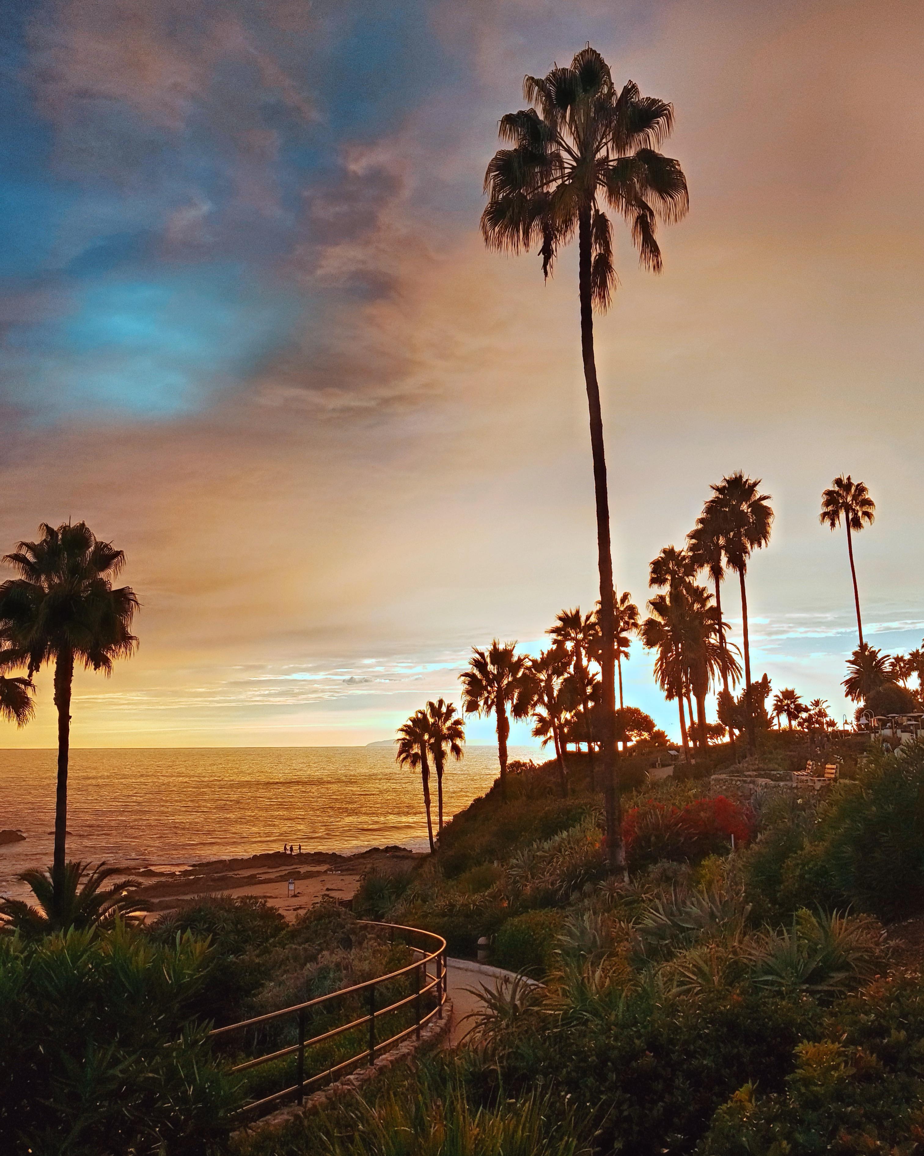 The iPhone Wallpapers  San Diego California