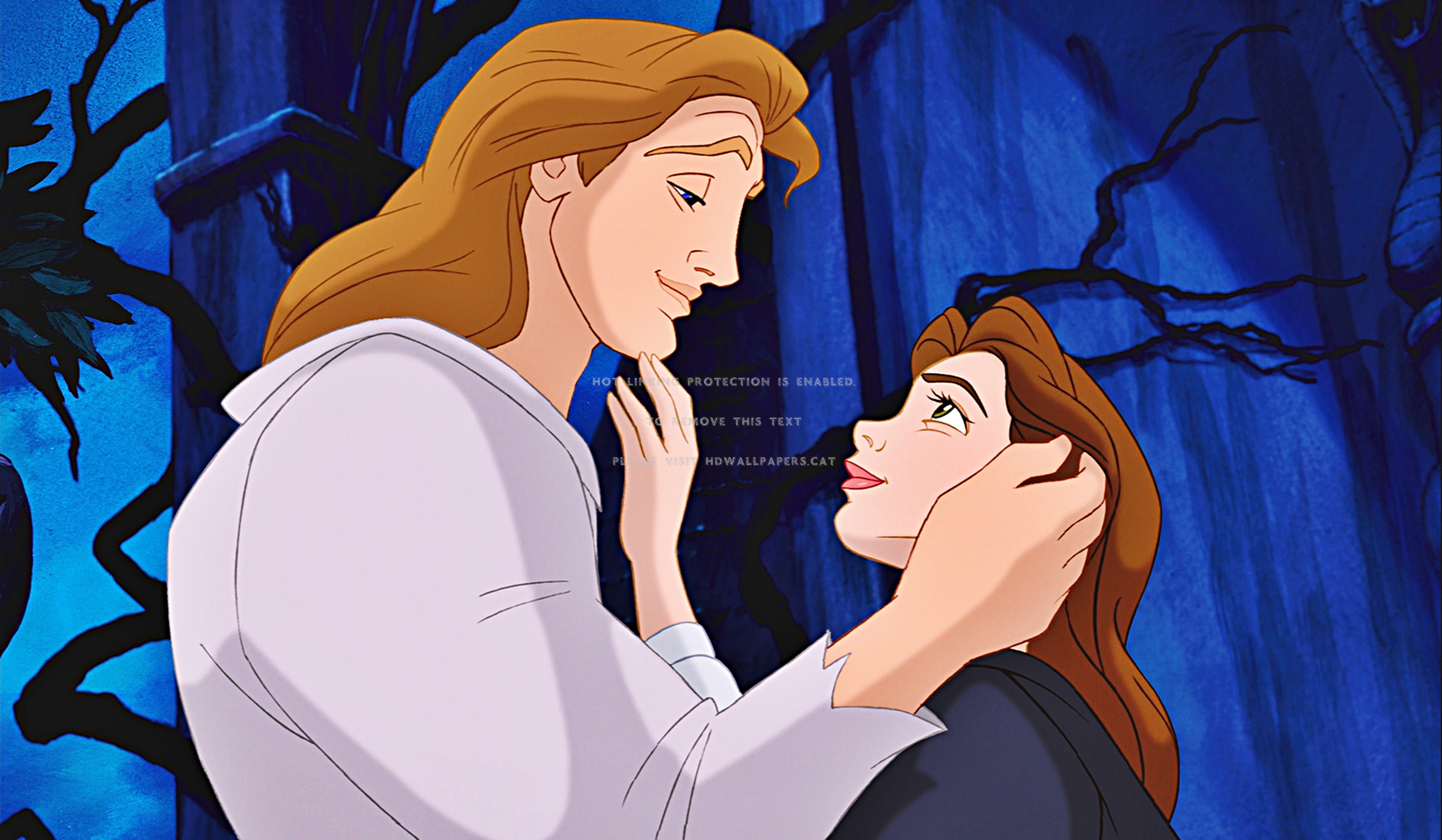 Beauty And The Beast Cartoon Wallpapers Wallpaper Cave