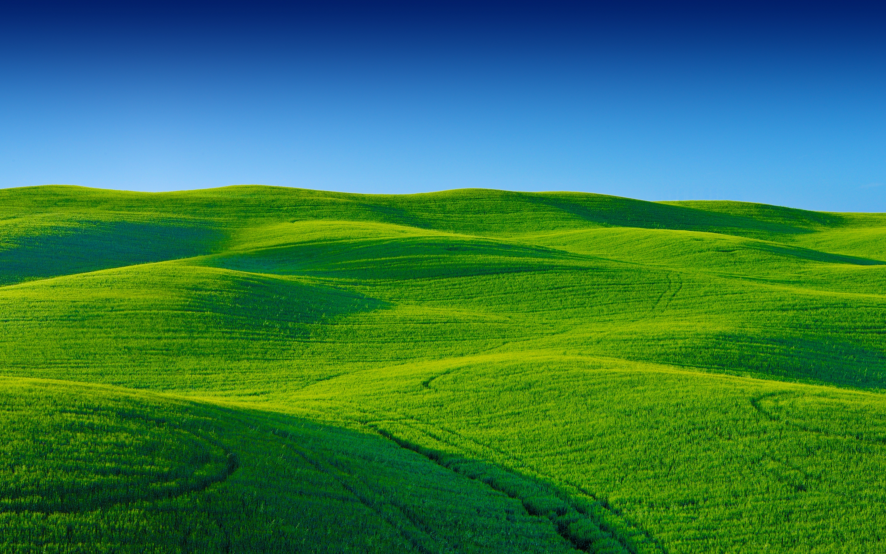 Download 3072x1920 Green Landscape, Field, Sky Wallpaper