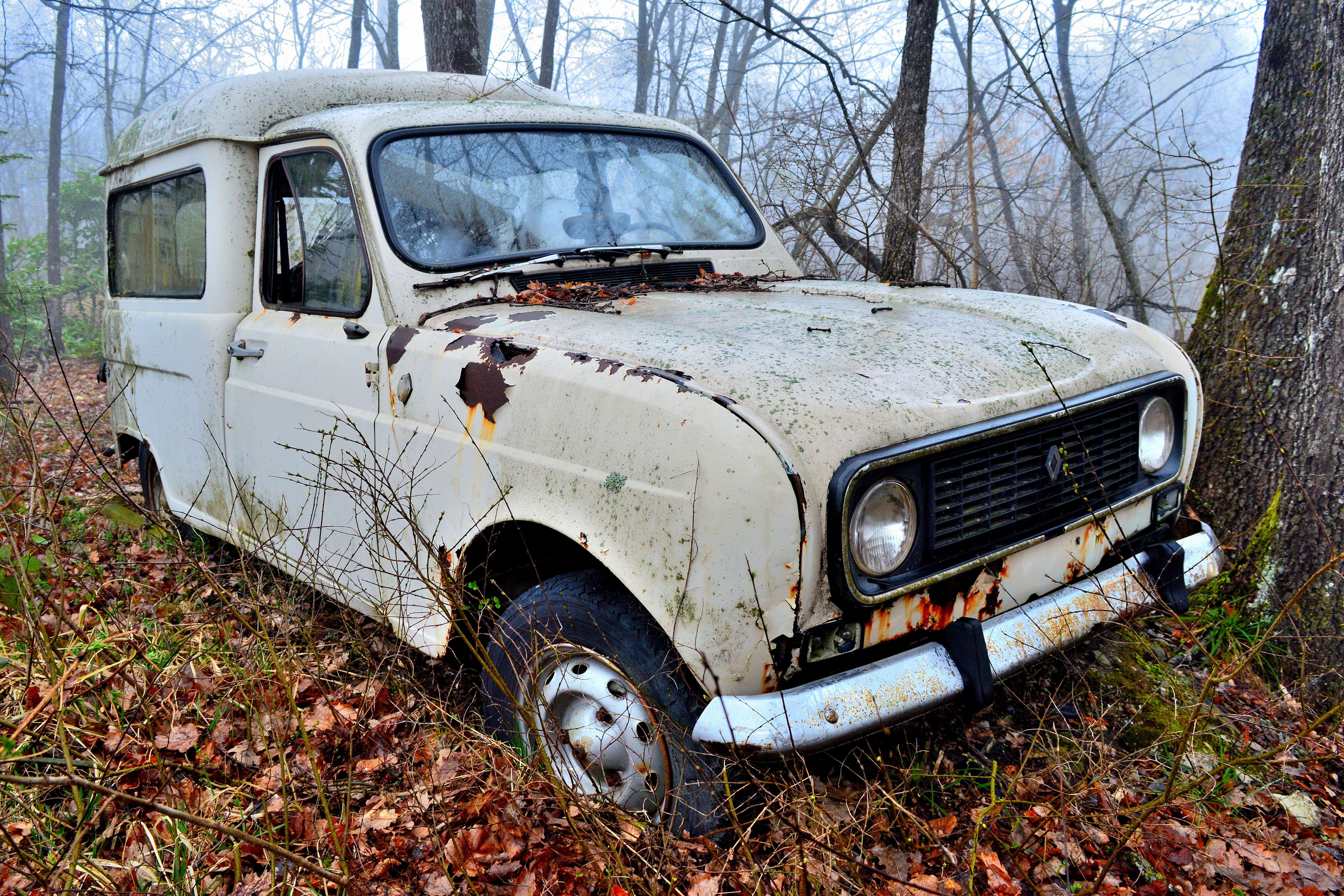 Wallpaper, motor vehicle, off roading, hatchback, renault 4, mid size car, compact van, tree, family car 5760x3840