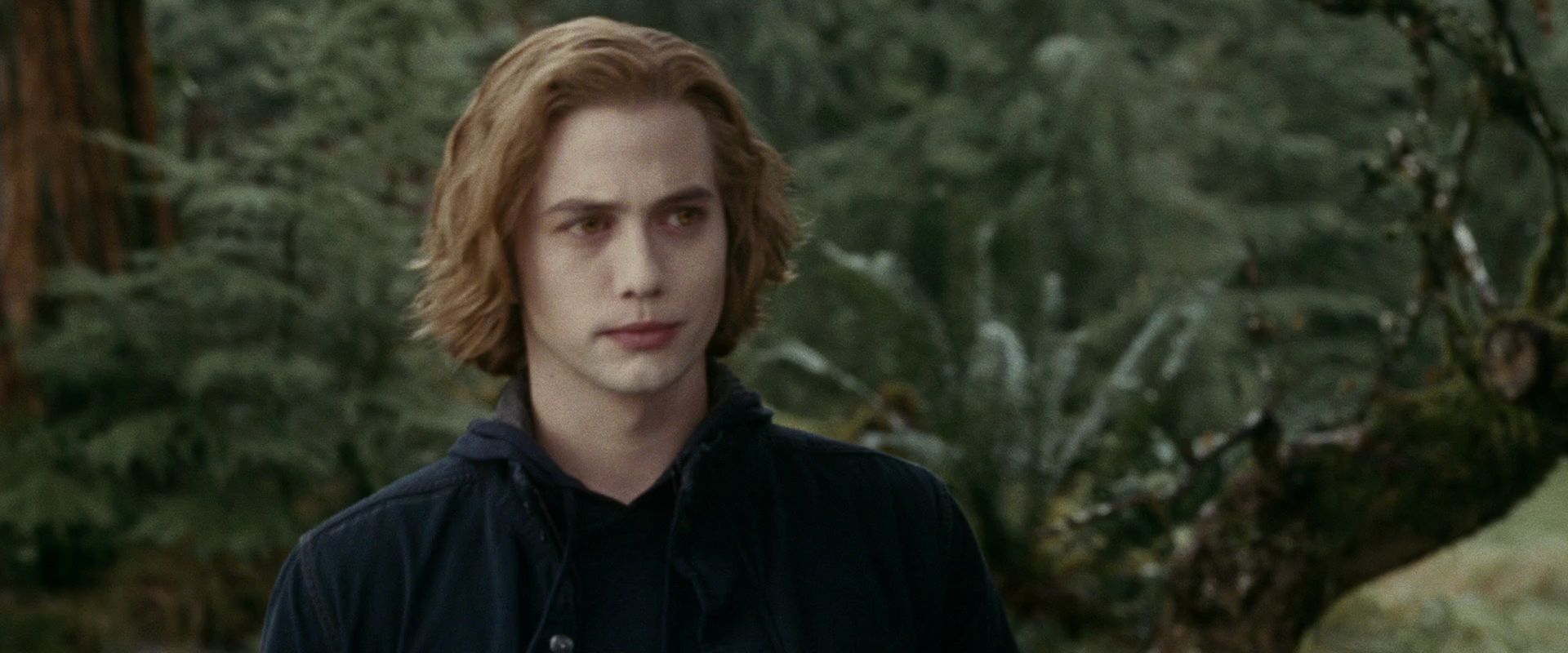 Jasper Cullen Wallpapers Wallpaper Cave