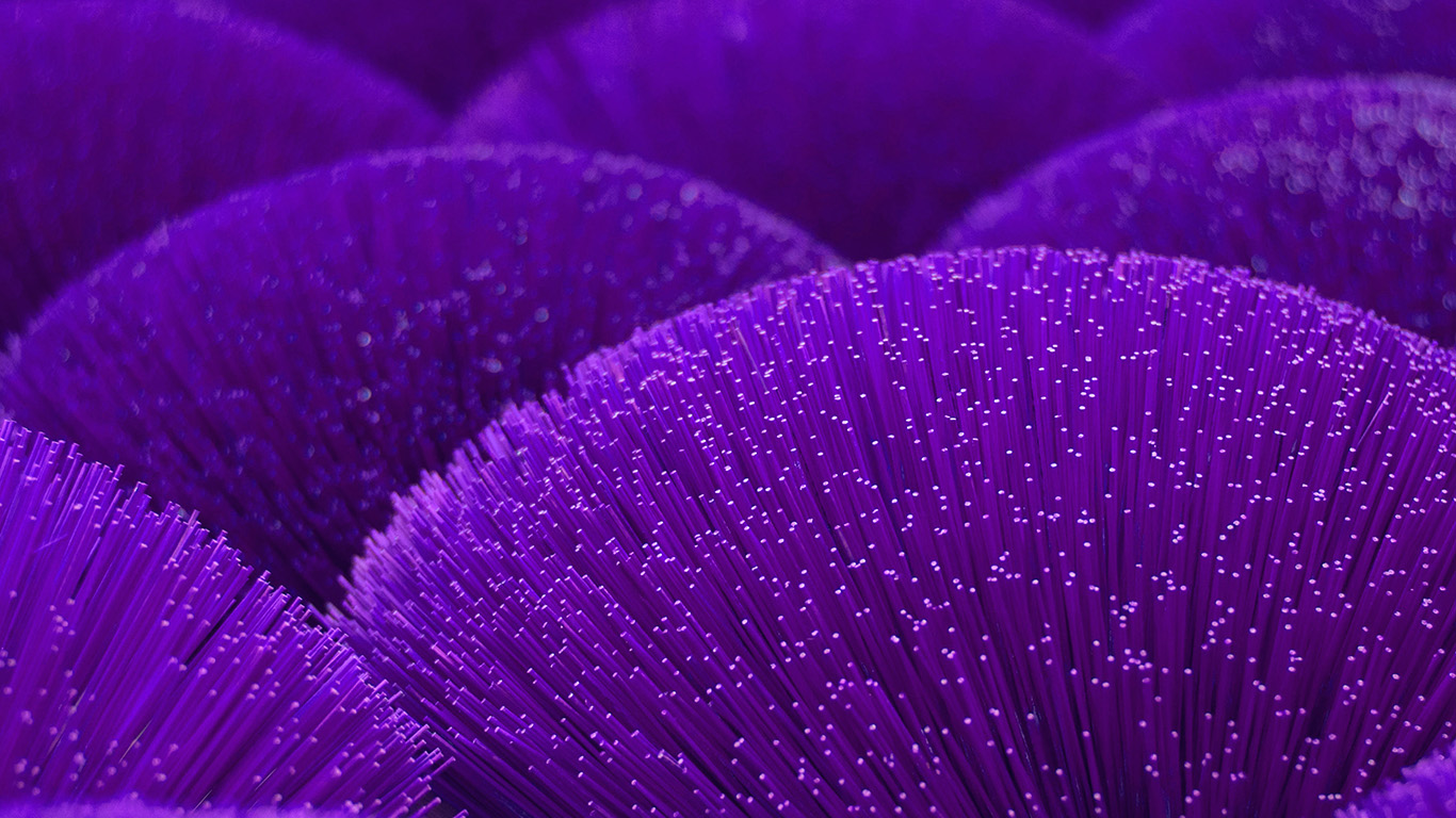 wallpaper for desktop, laptop. light dot digital purple line pattern background