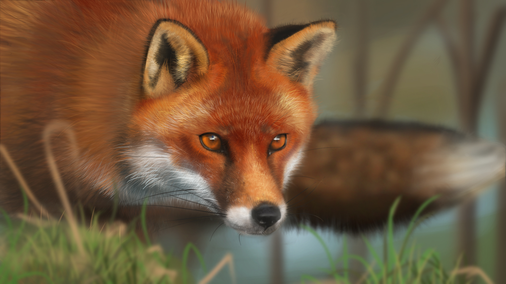 Free download Art fox animal face red grass [1920x1080] for your Desktop, Mobile & Tablet. Explore Wallpaper Fox Art. Fox Racing Wallpaper HD, Fox Wallpaper for Computer, Cartoon Fox Wallpaper