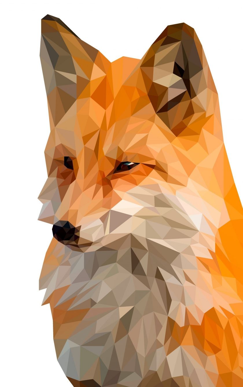 Fox iPod Wallpaper