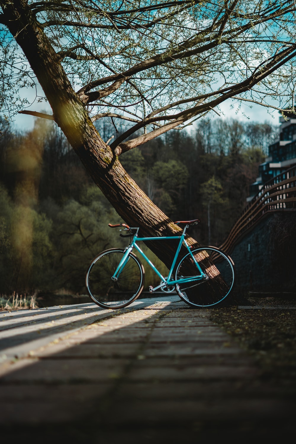 Fixie Picture. Download Free Image