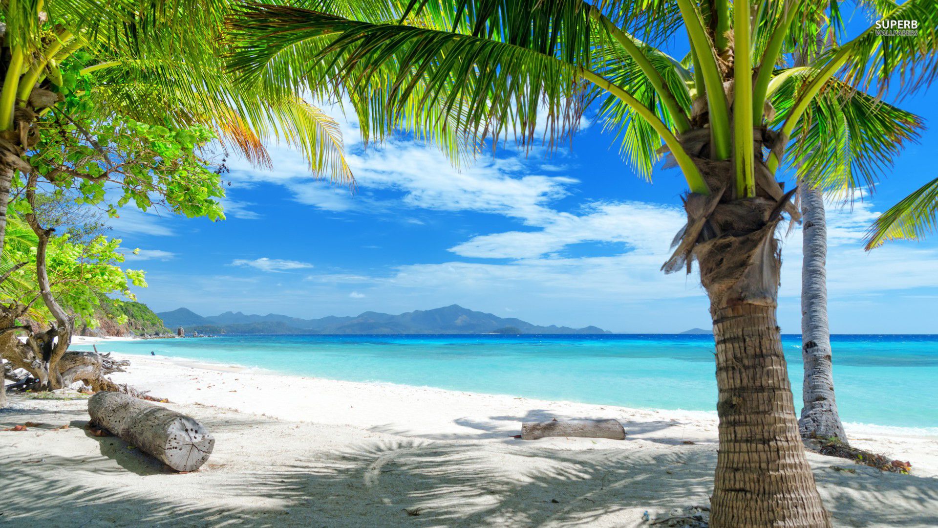 Tropical Beach Scenes Wallpaper Free Tropical Beach Scenes Background