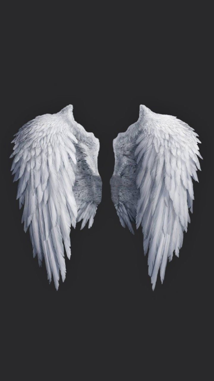 freetoedit #angel #wing #Background #Background #frame #border #Arkaplan #Duvarkağıdı #Picsart #귀여운 #背. Angel wallpaper, Wings wallpaper, Angel wings background