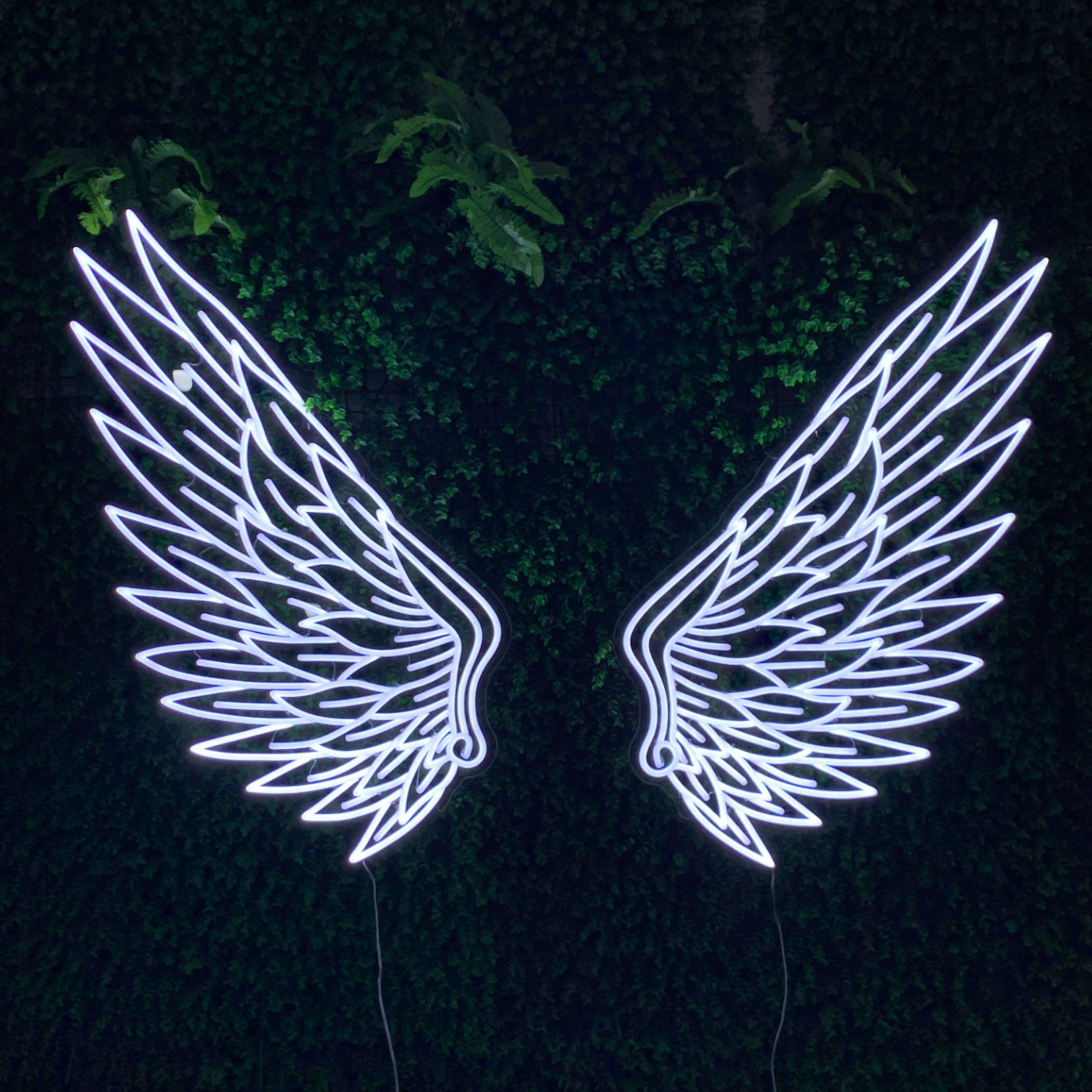 Angel Wings' Neon Sign. Wings wallpaper, Neon, Wallpaper iphone neon