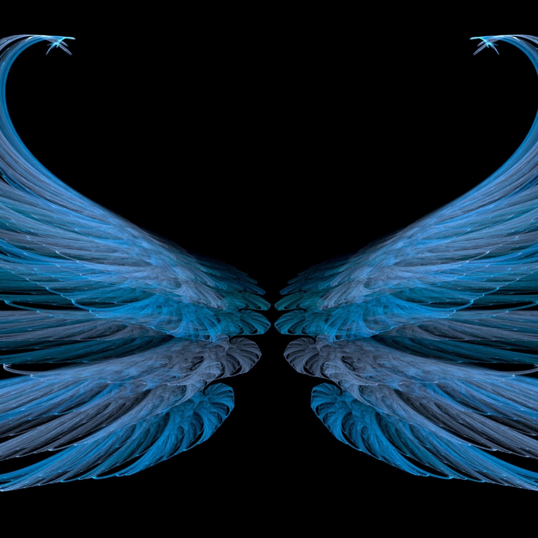 Best Wings iPad Air HD Wallpaper