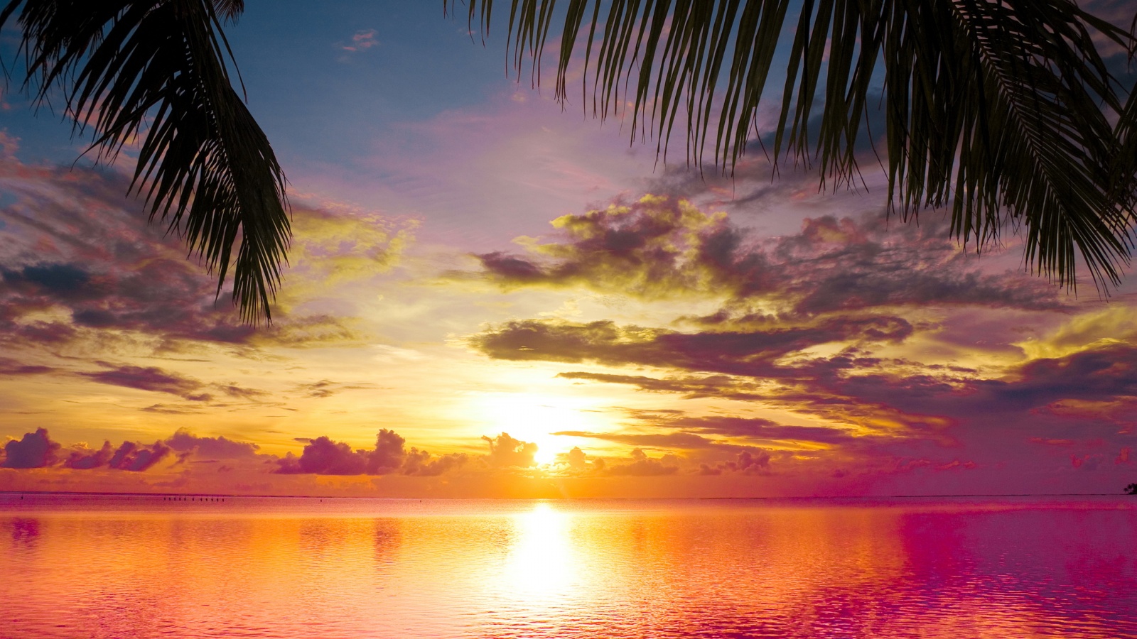 Beach scene wallpaper