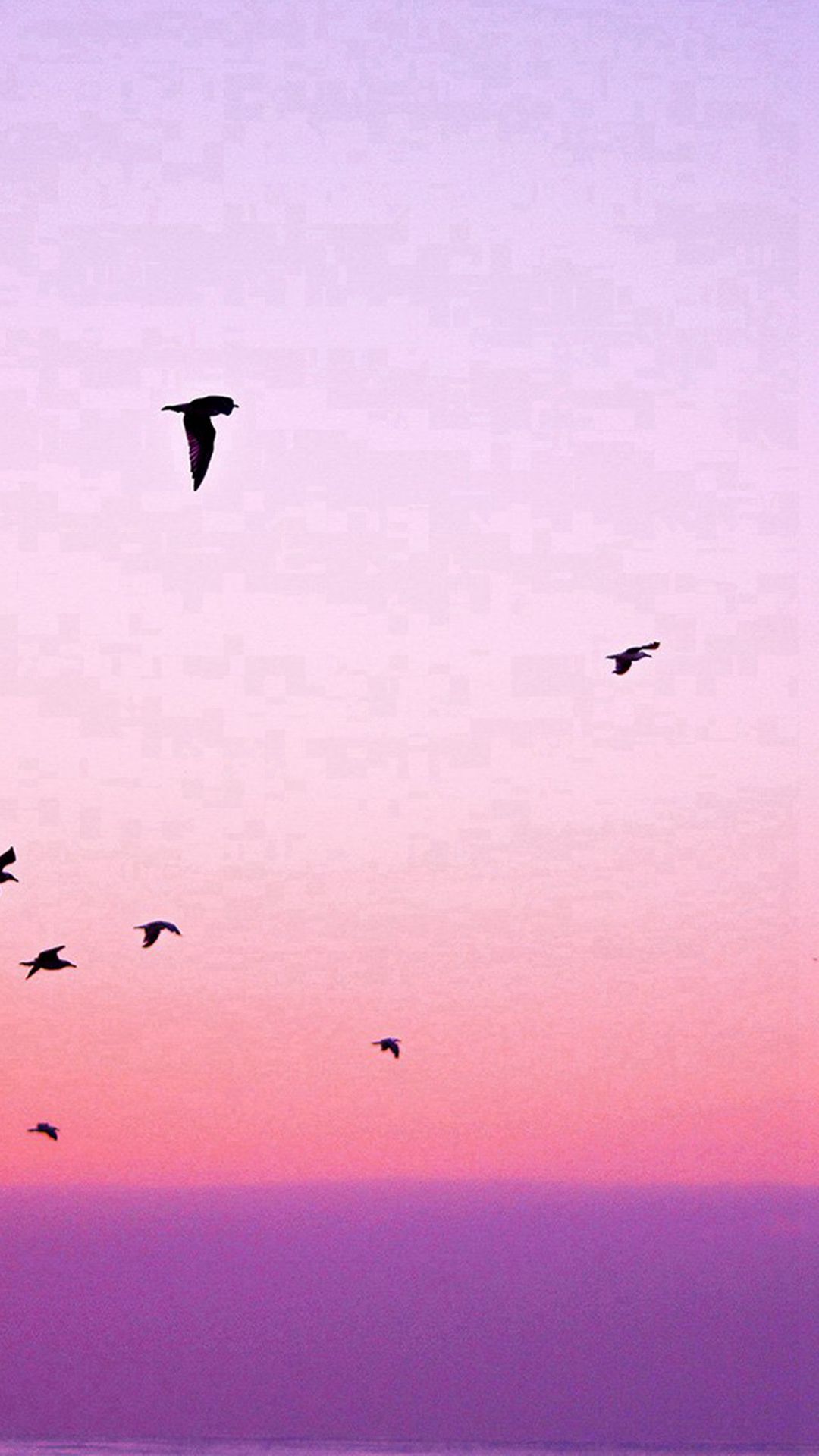 Sky Bird Pink Red Sunset Nature #iPhone #wallpaper. Red sunset, Nature iphone wallpaper, Sunset nature
