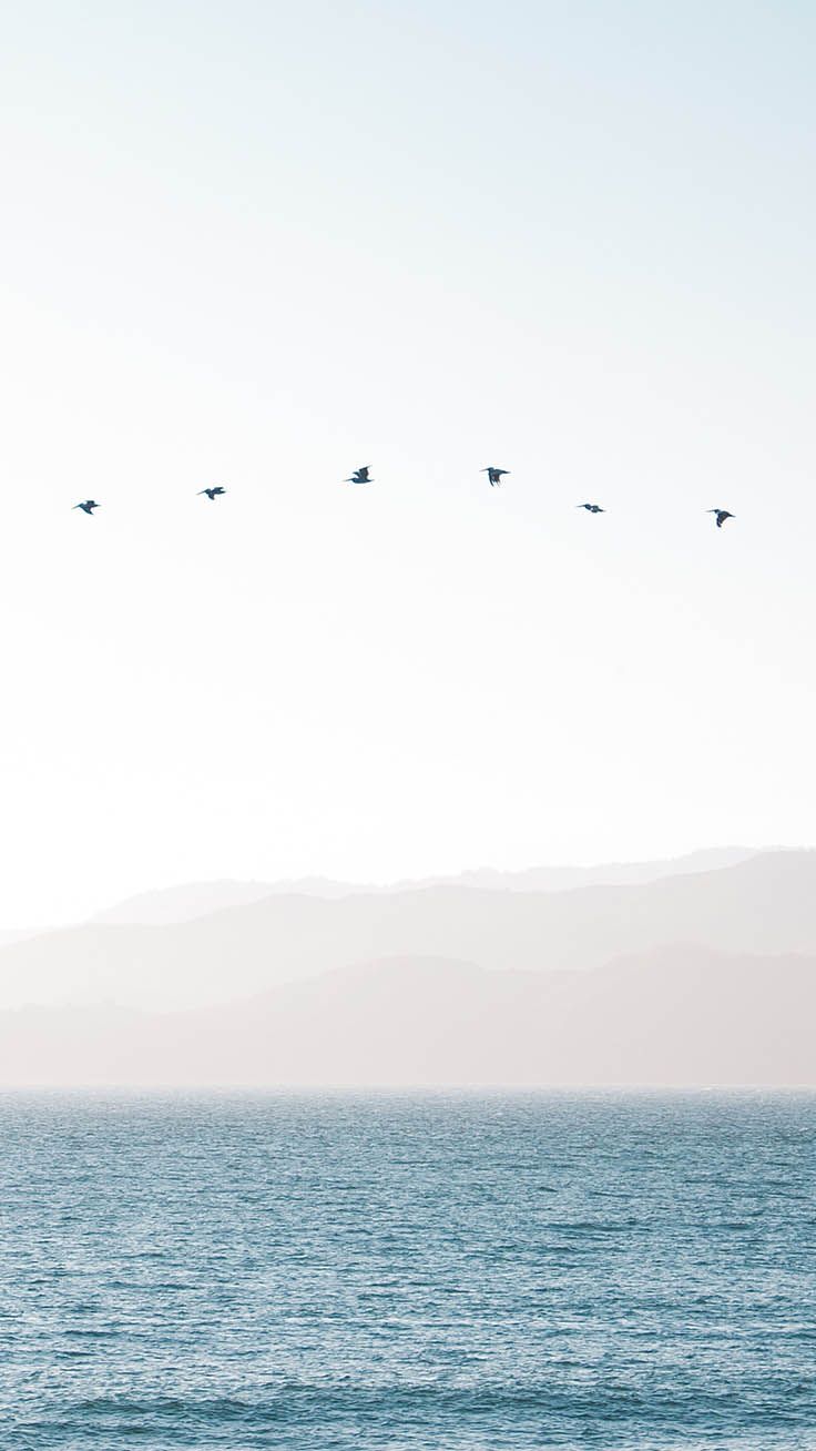 Like A Bird iPhone Wallpaper Collection. Preppy Wallpaper. Landscape picture, Sky aesthetic, Nature image