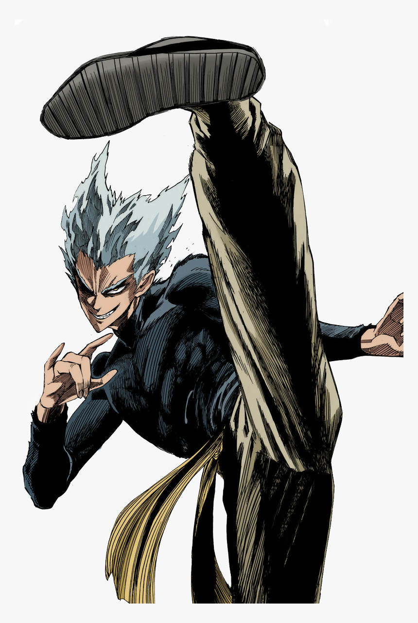 What is your opinion of Garou from One Punch Man?
