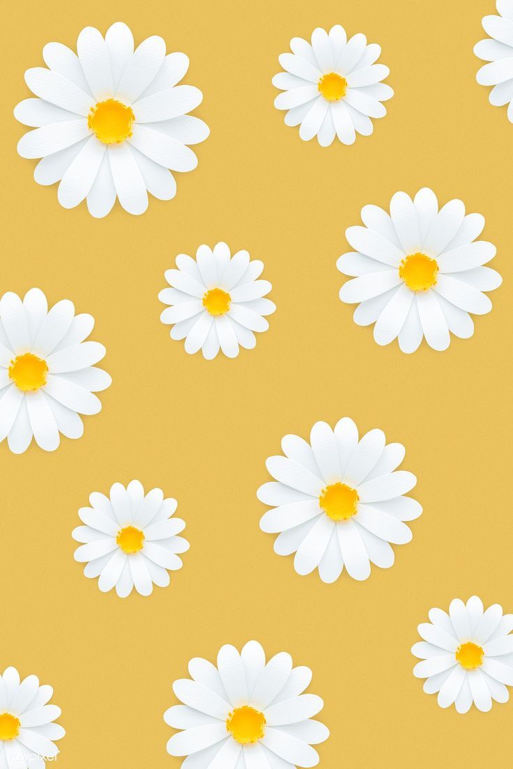 Download premium psd of White daisy pattern on yellow background 1202497. Daisy wallpaper, Flower background wallpaper, iPhone wallpaper yellow