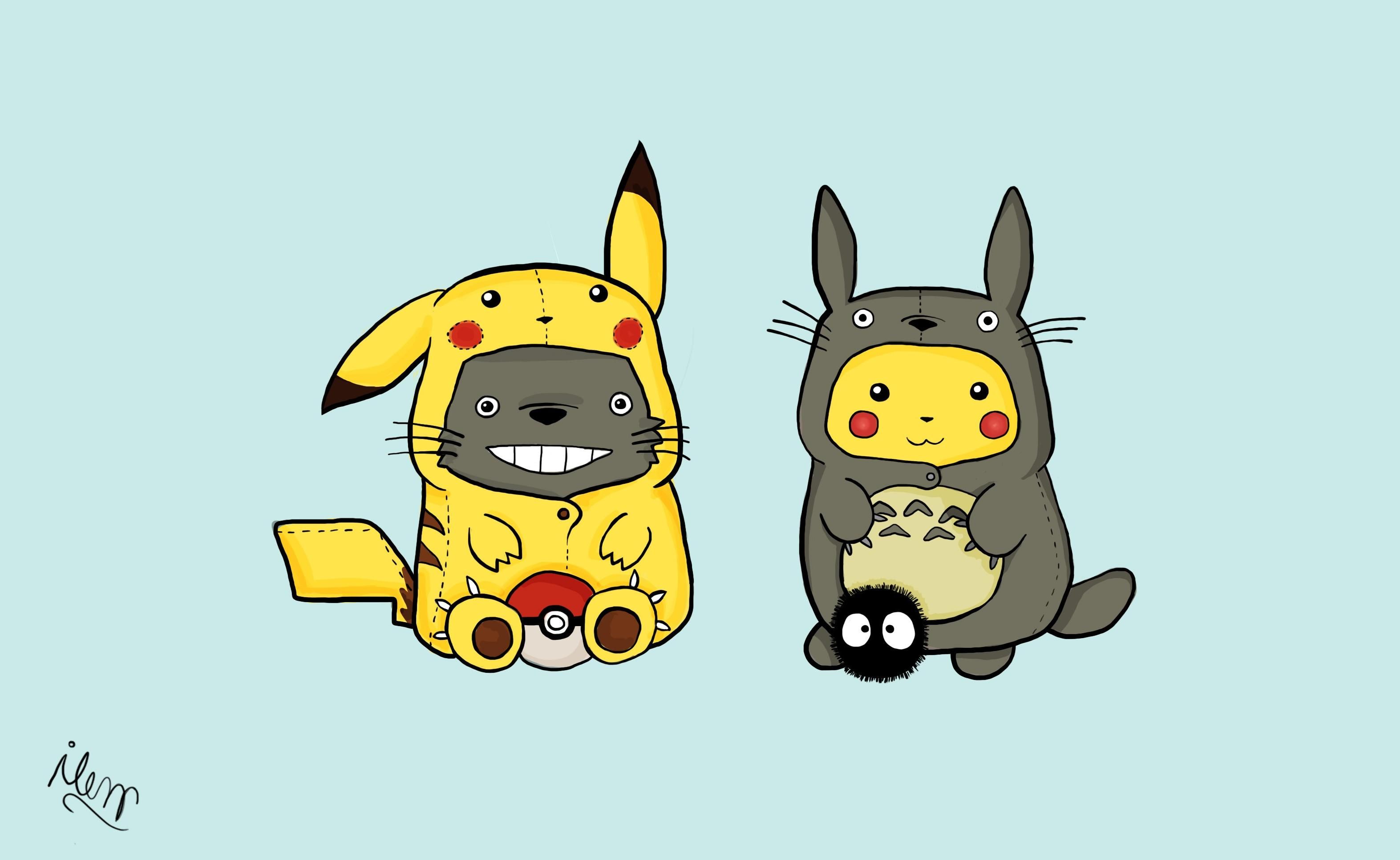 Totoro And Pikachu Hoodie