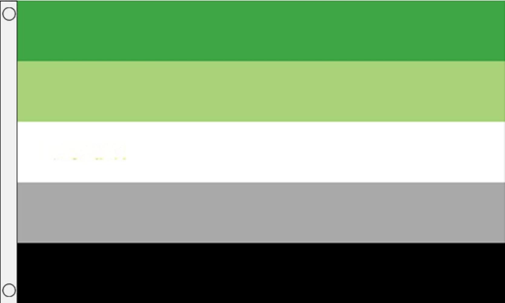 Flags Limited Aromantic Pride Romantic Orientation Flag 5'x3' (150cm x 90cm) Polyester Flag 5'x3' (150cm x 90cm) Polyester, 100% Woven., By Brand 1000 Flags Limited