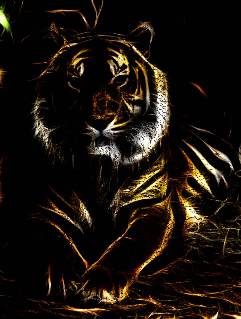 Tiger Glow. Pet tiger, Tiger, Wild cats