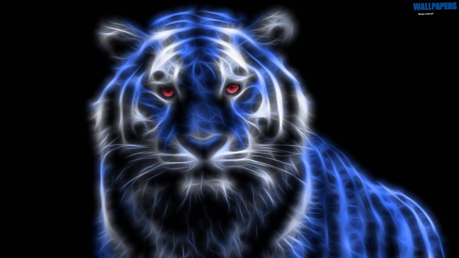 Blue glowing tiger wallpaper 1600×900. Wallpaper 29 HD
