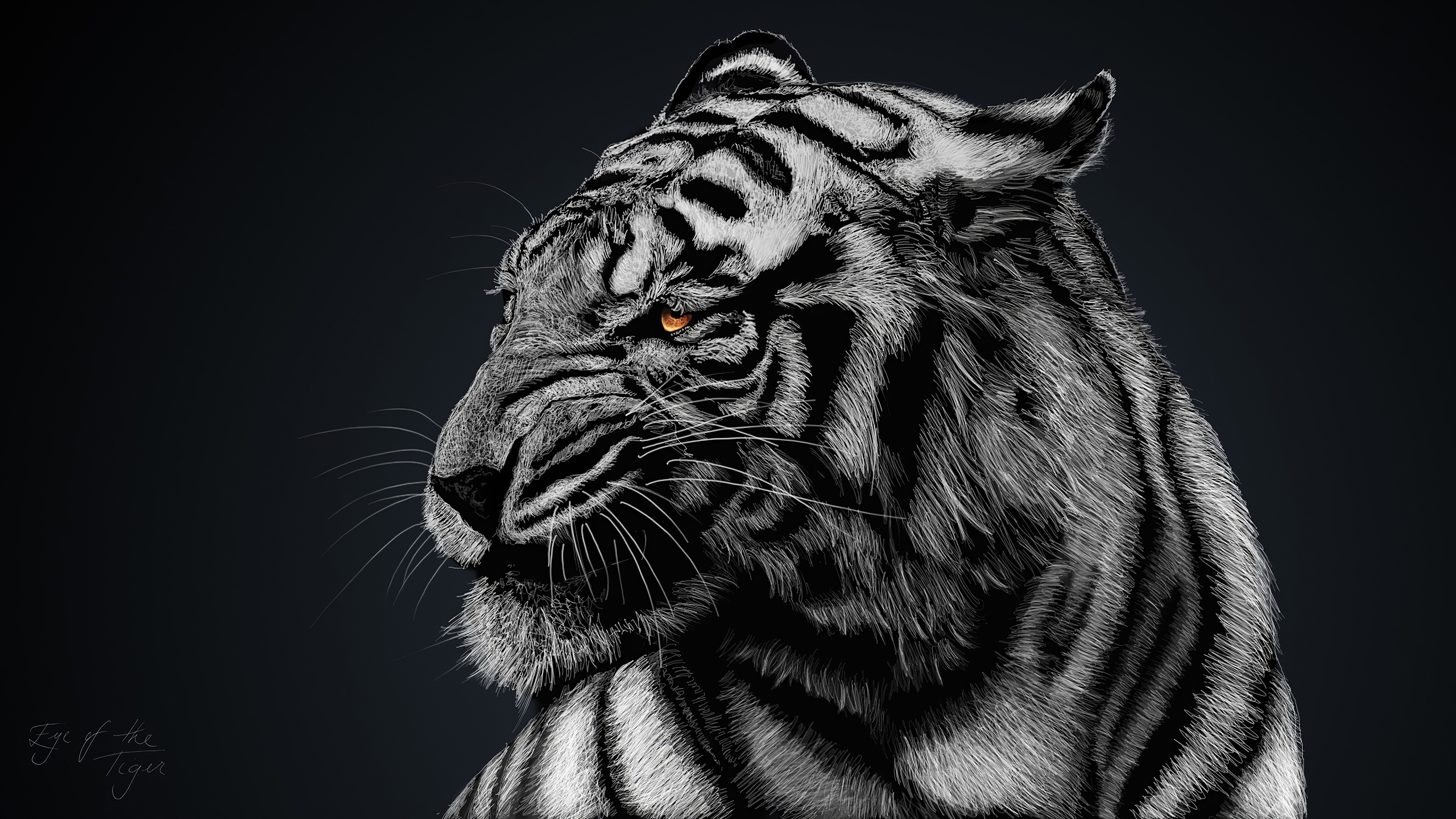 Tiger Glow, HD Artist, 4k Wallpaper, Image, Background, Photo and Picture
