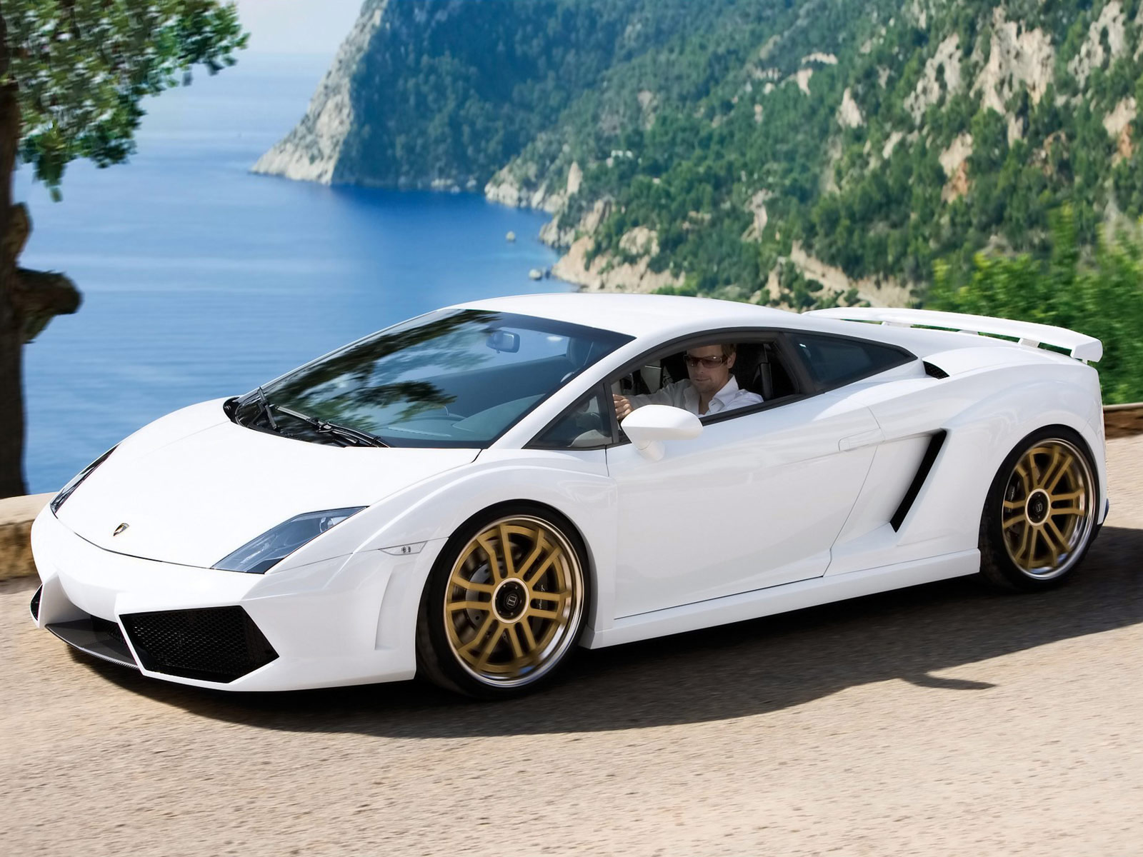 LAMBORGHINI Gallardo LP560 4 IMSA GTV Wallpaper Trends Magazine