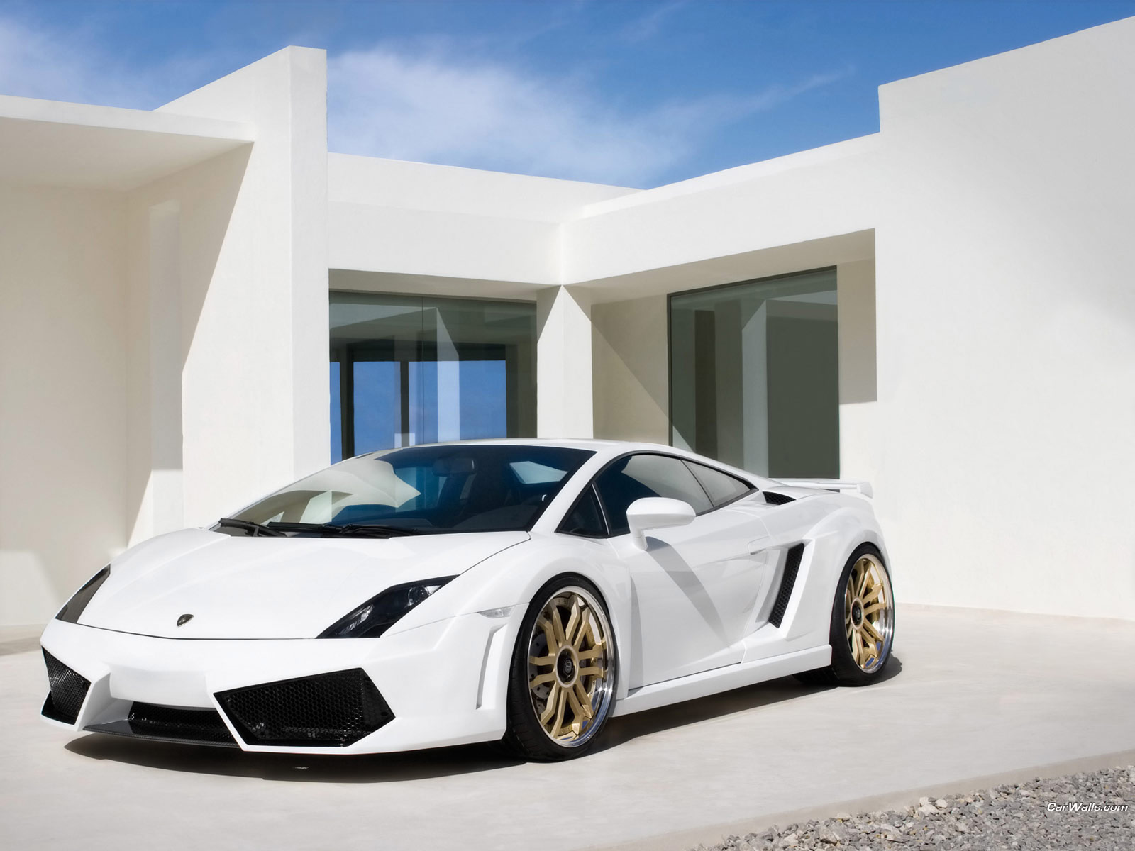 Lamborghini Wallpaper: 2009 Lamborghini Gallardo LP560 4 IMSA GTV