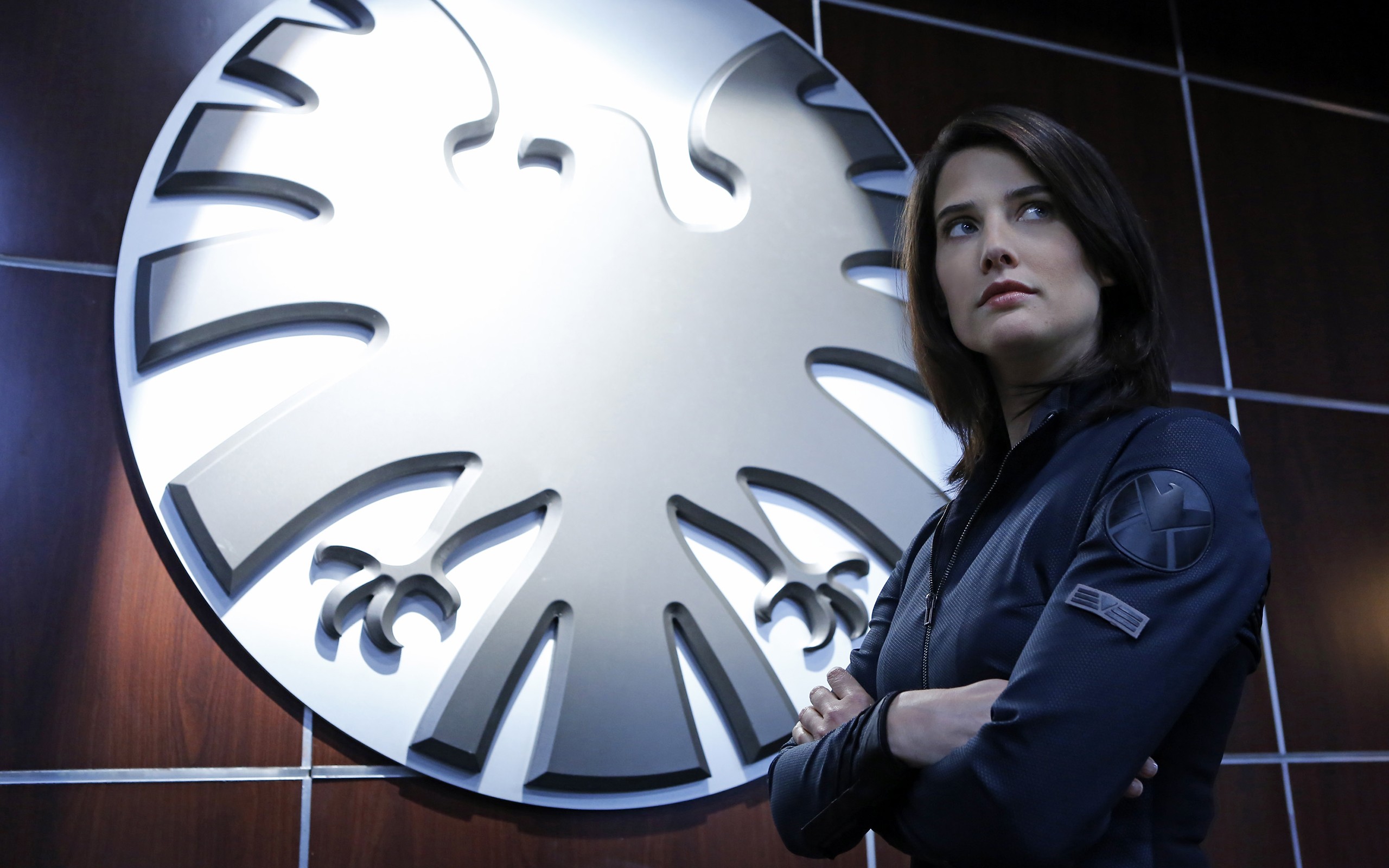 Wallpaper, brunette, celebrity, actress, Marvel Comics, TV, Cobie Smulders, Agents of S H I E L D, Maria Hill, light, wheel 2560x1600