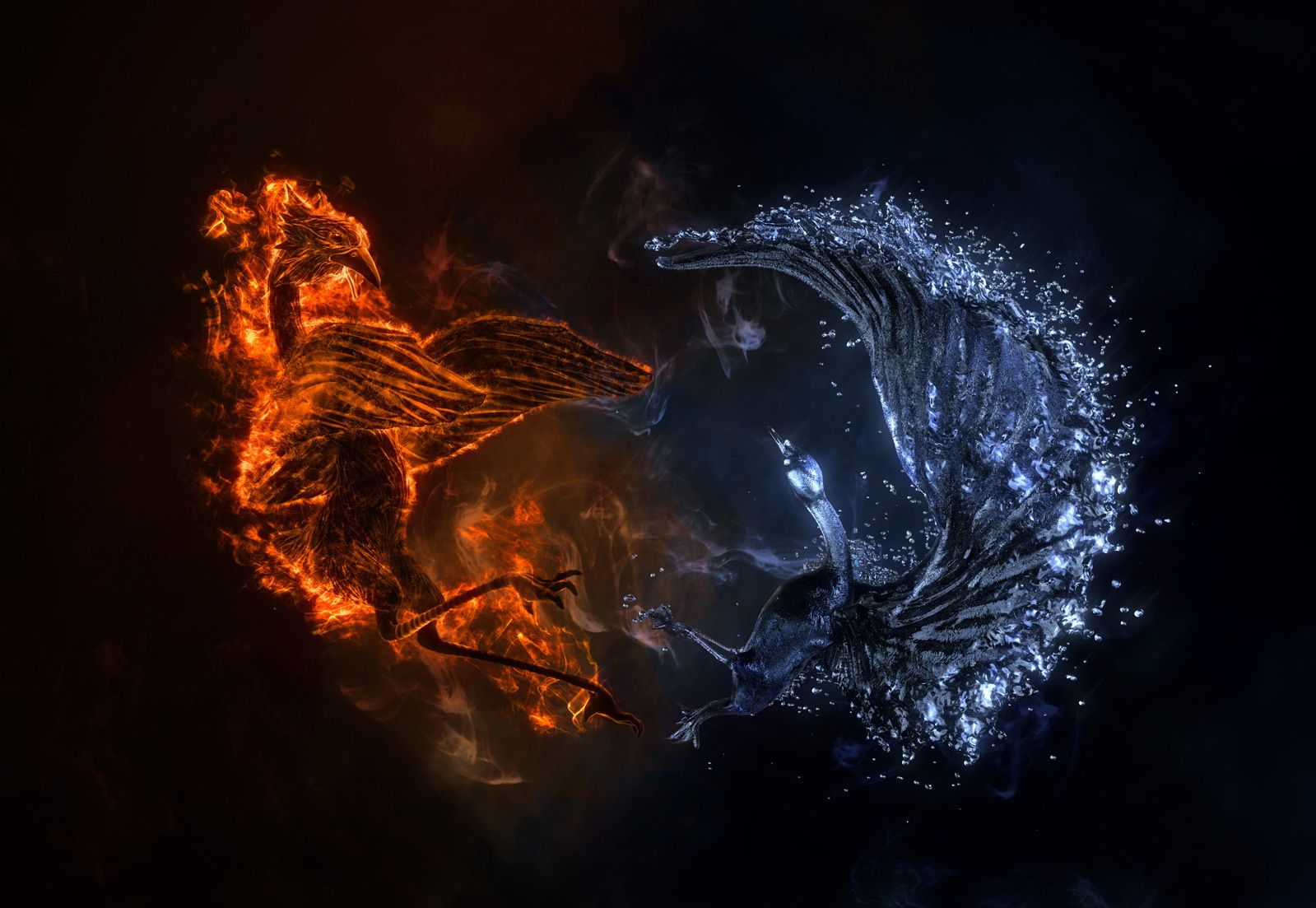 Wallpaper Fantasy Magical Animals Fire And Water Phoenix. Phoenix Wallpaper, Water Art, Fire Art