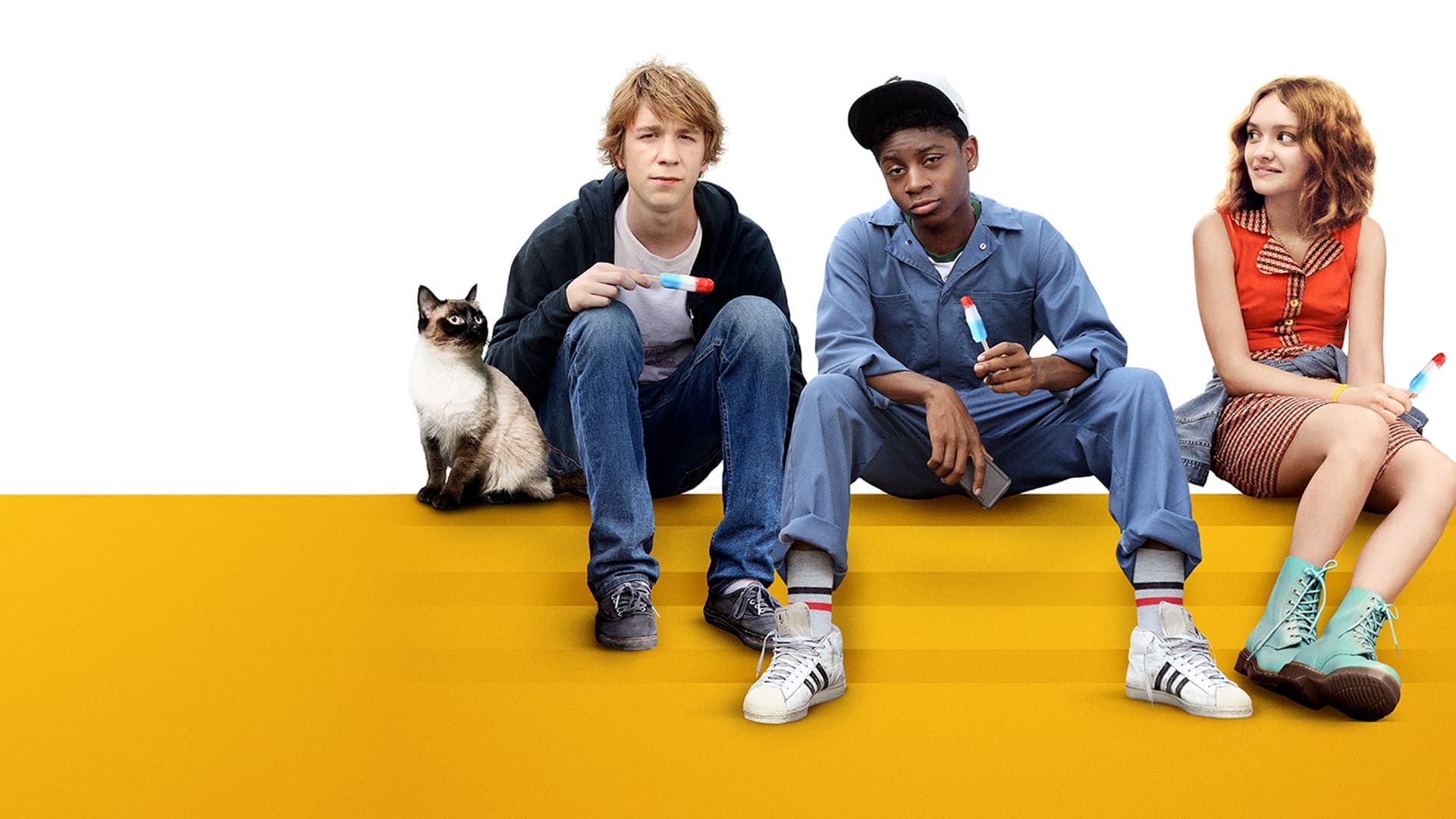 Me and Earl and the Dying Girl (2015)