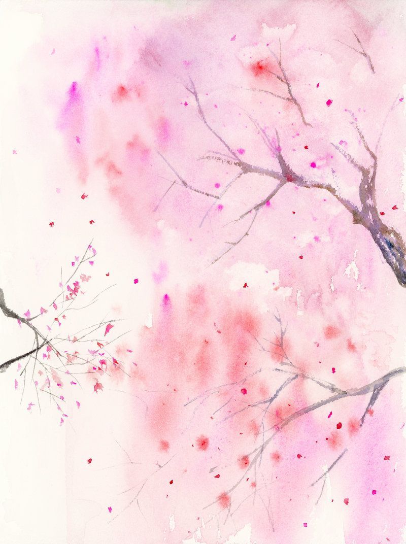 Watercolor Cherry Blossom Wallpaper Free Watercolor Cherry Blossom Background