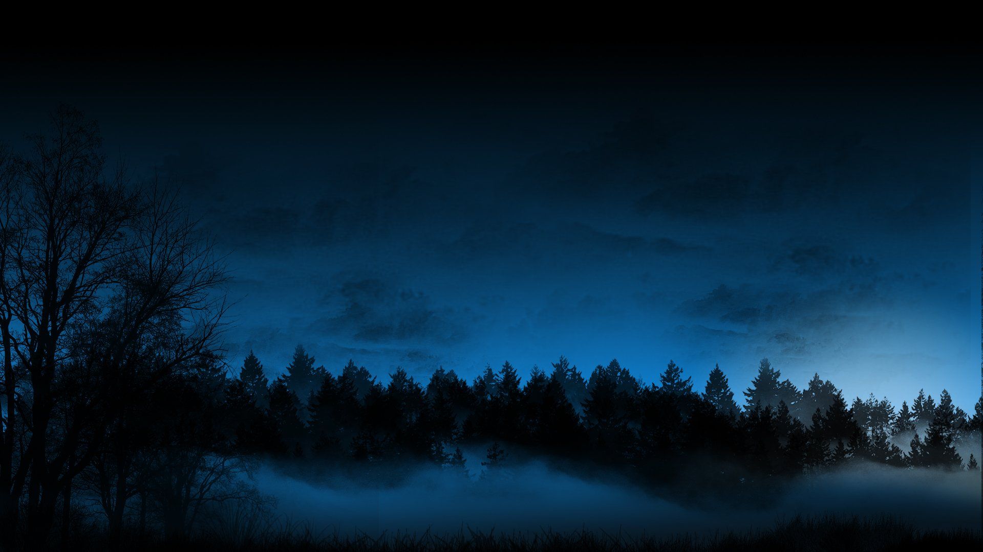 Starry Sky HD Wallpaper Background Wallpaper. Dark landscape, Gothic landscape, Forest wallpaper