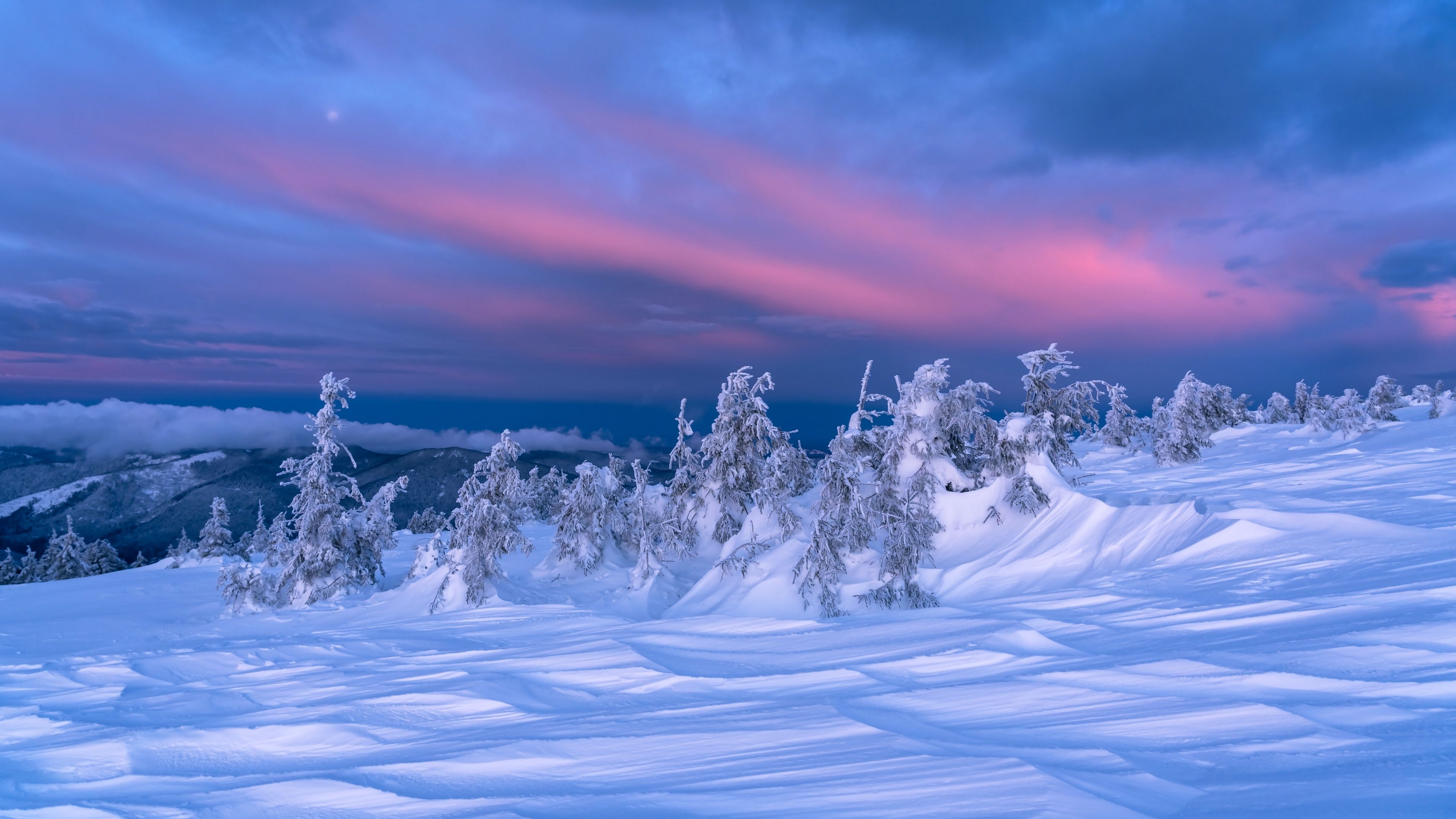 Download wallpaper 3840x2160 snow, trees, dusk, winter, landscape 4k uhd 16:9 HD background