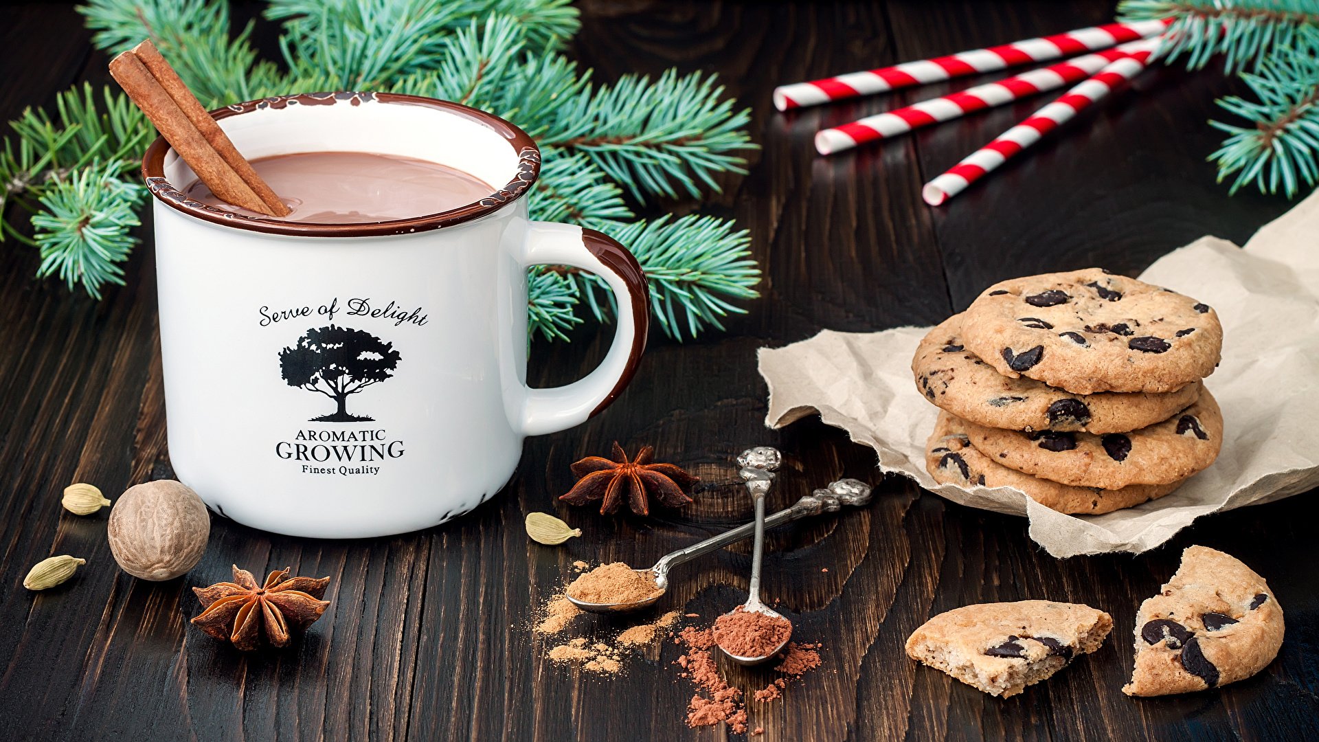 Christmas Hot Chocolate and Chocolate Chip Cookies