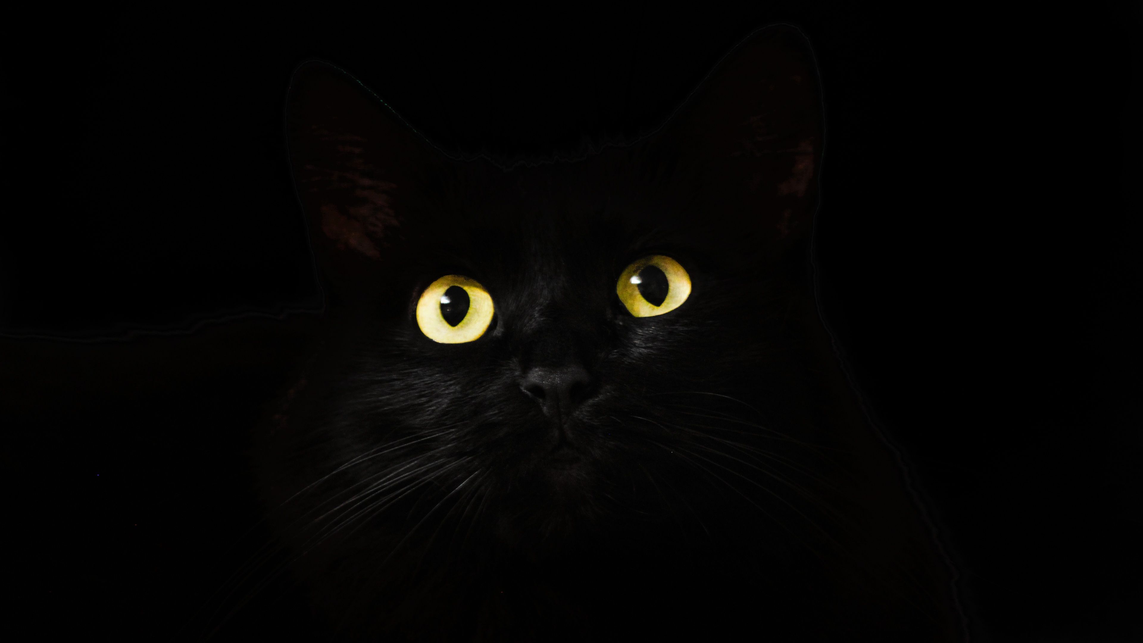 Black Cat Eyes Dark 4k Hd Wallpaper, Eyes Wallpaper, Cat Wallpaper, Animals Wallpaper, 4k Wallpaper. Halloween Names For Cats, Cat Wallpaper, Black Cat