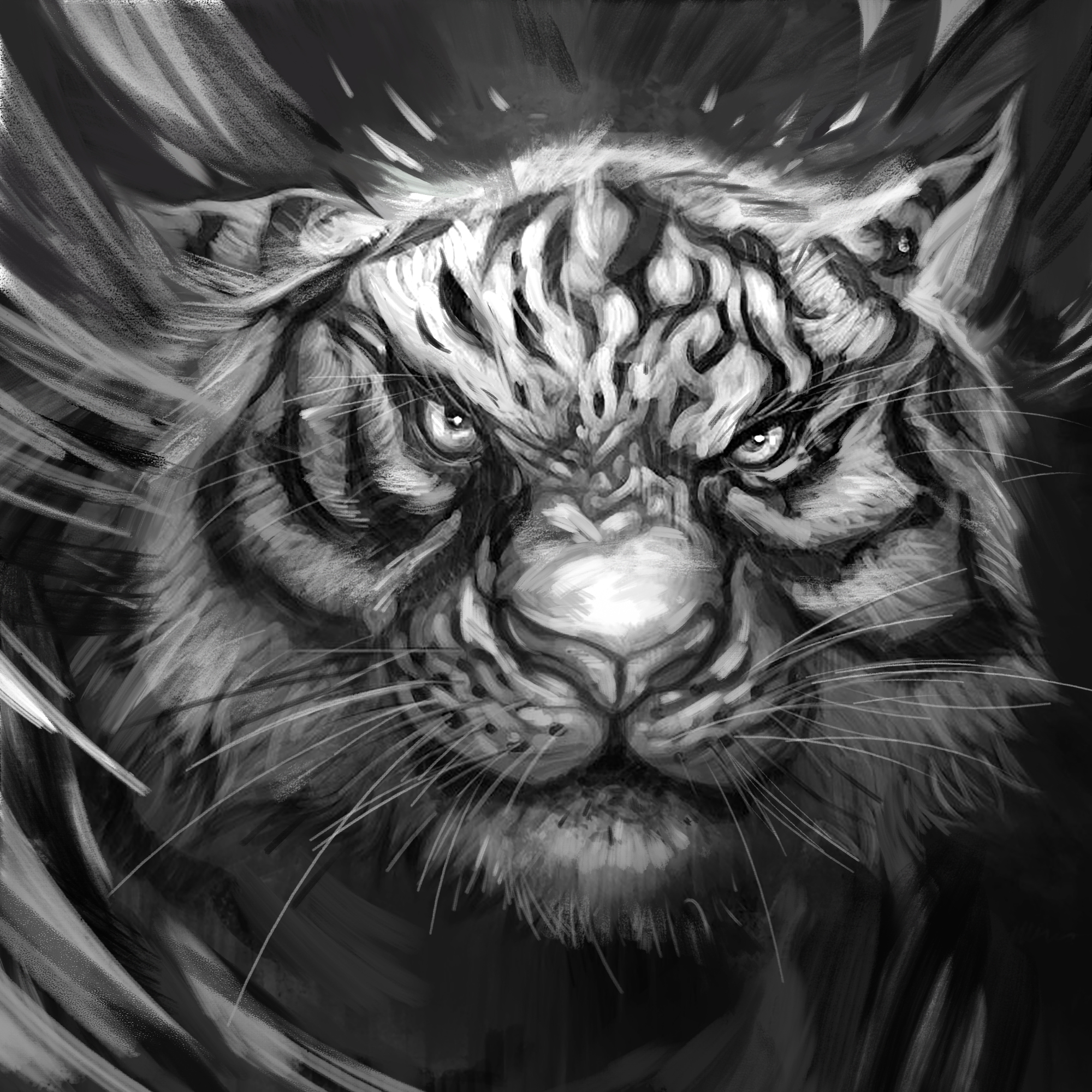 Picture Tigers Big cats dissatisfied Fantasy Whiskers 2000x2000