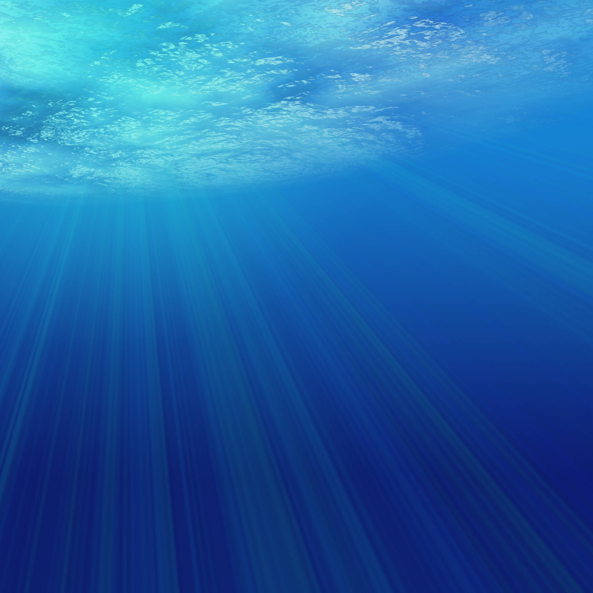 Free download Ocean Underwater 20002152000 Wallpaper 626954 [2000x2000] for your Desktop, Mobile & Tablet. Explore Under Water Background. Underwater Wallpaper HD, Hawaii Underwater Wallpaper, Underwater Desktop Wallpaper