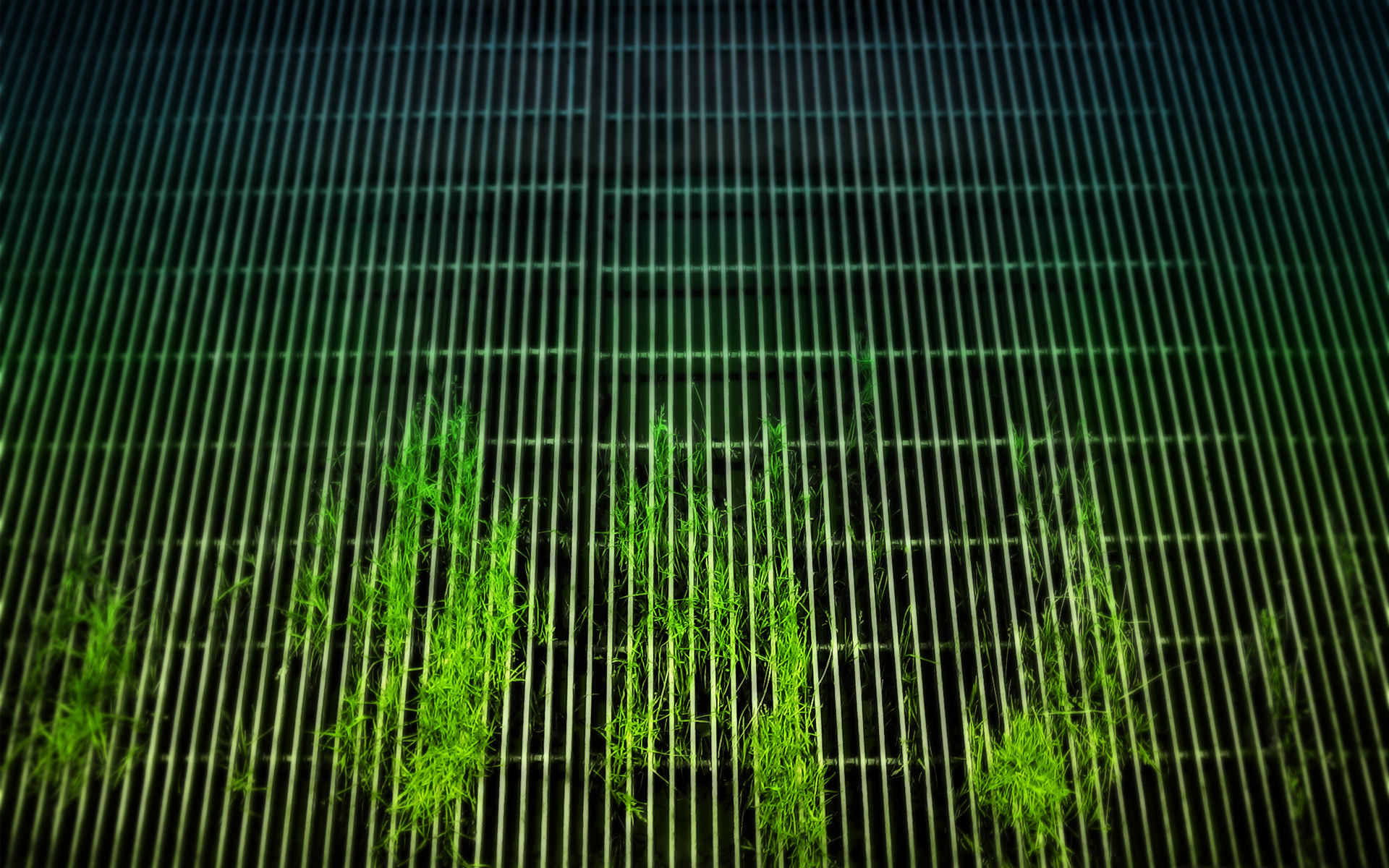 Wallpaper, sunlight, green, grid, light, leaf, line, darkness, 1920x1200 px 1920x1200