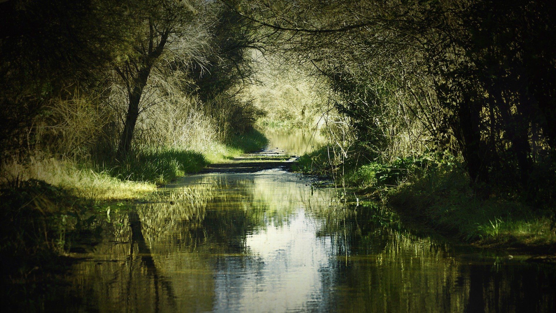 Florida Swamp Wallpaper Free #cJY. Beautiful nature, Nature wallpaper, Beautiful nature wallpaper
