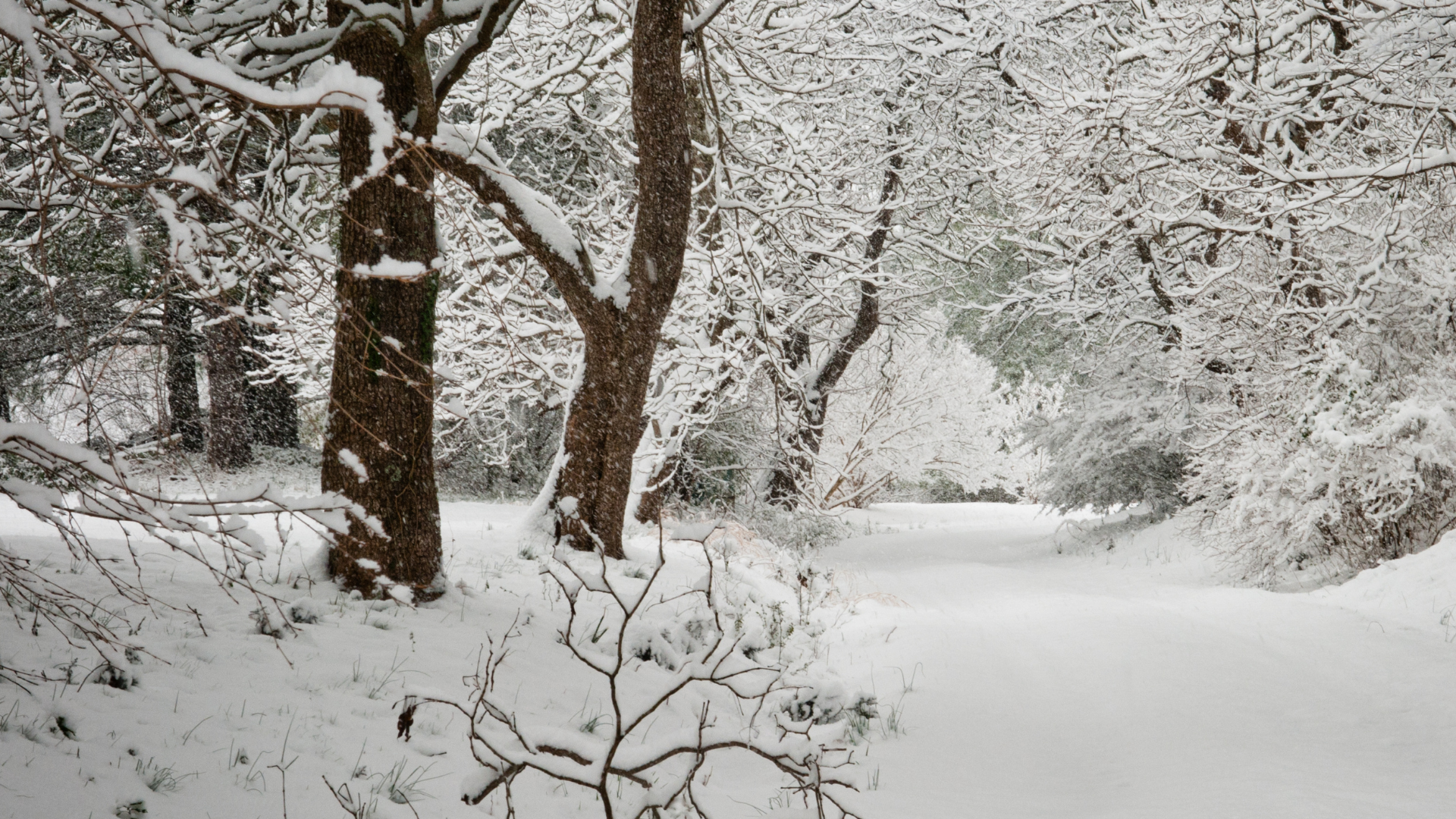 Winter Activities